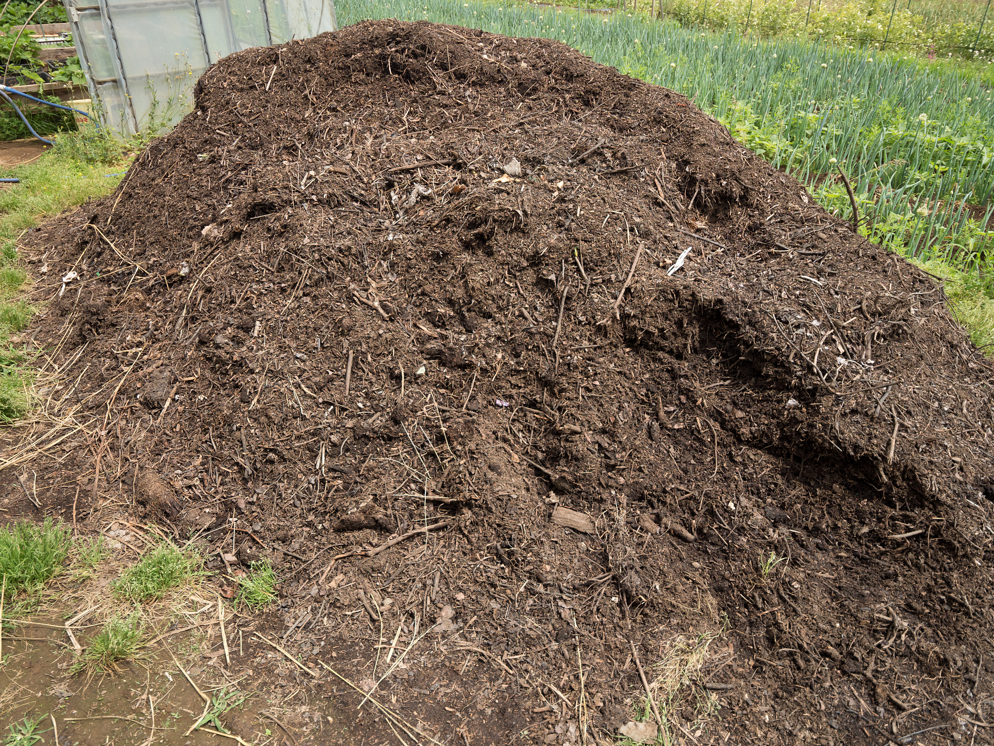 废弃茶叶杆固化土 开题报告 国内外研究现状