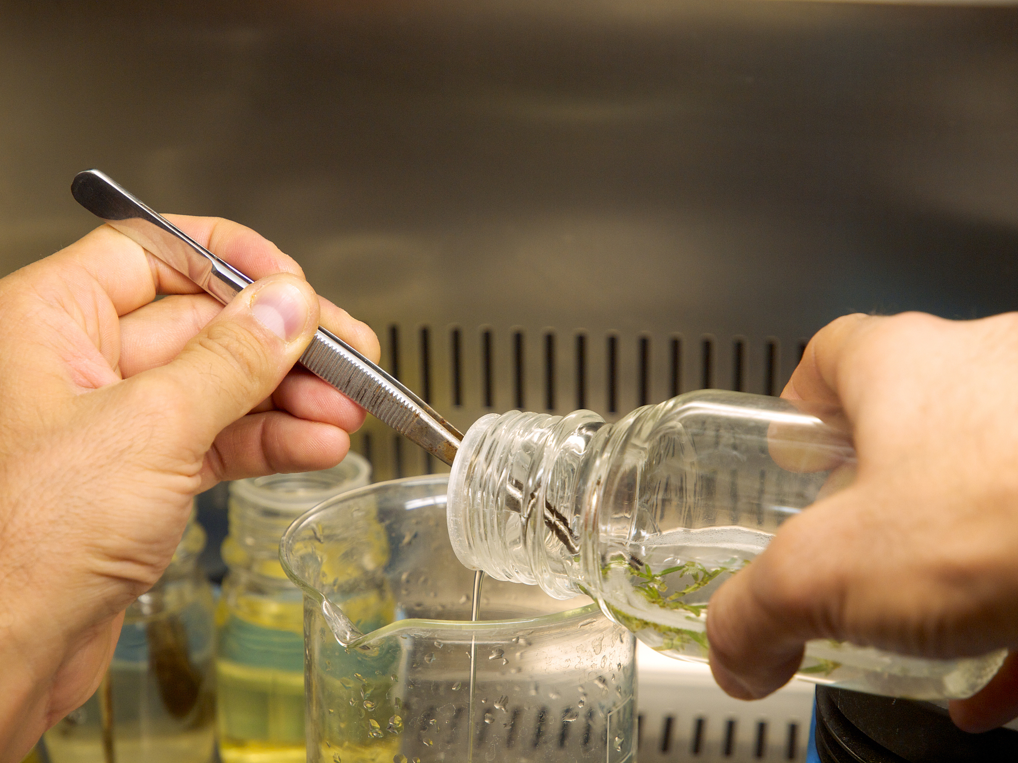 长江师范学院生物科学专业怎么样