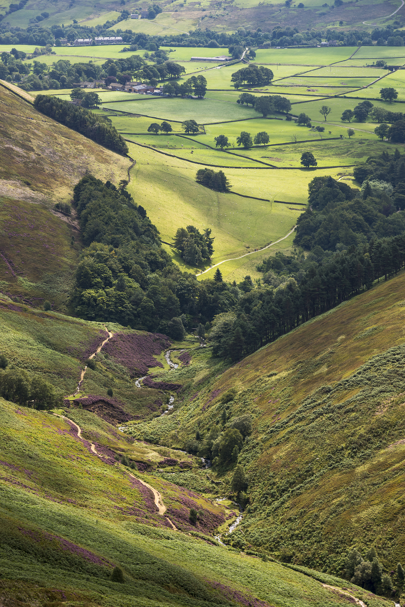 grinsbrook clough, edale, peak district, derbyshire