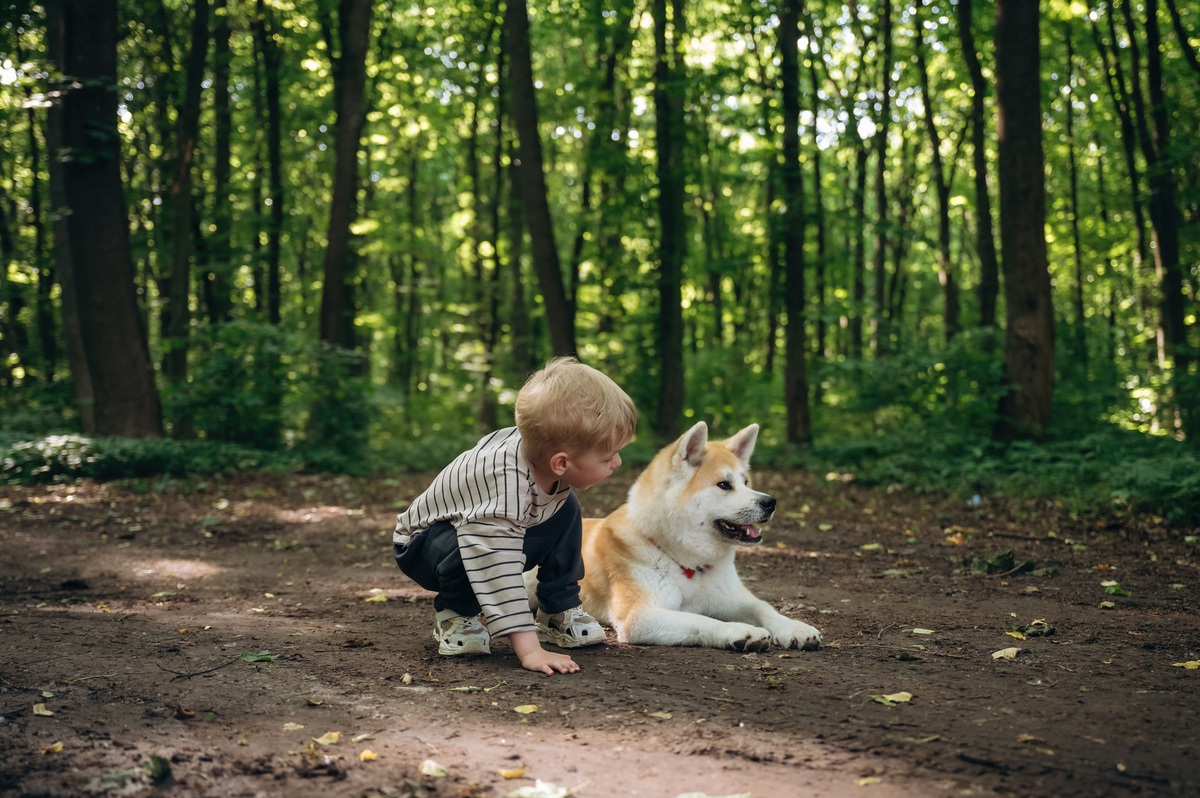 早晨阳光洒满了房间小狗蹦蹦跳跳地从床上跳下来舌头甩了甩开始了新的一天。他冲进厨房闻到了令人垂涎欲滴的早餐香味只见主人已经准备好了一碗美味的狗粮小狗开心地扑过去开始吃。吃完早餐后小狗开始玩耍他跳跃着追逐着球尾巴不停地摇晃着嘴巴里还不停地叫着汪汪。下午小狗和主人一起去了公园。他在草地上奔跑追逐着飞翔的蝴蝶和飞鸟享受着自由和快乐的时光。晚上小狗在主人的怀里安静地蜷缩着闭上了眼睛享受着主人的抚摸和温暖。他