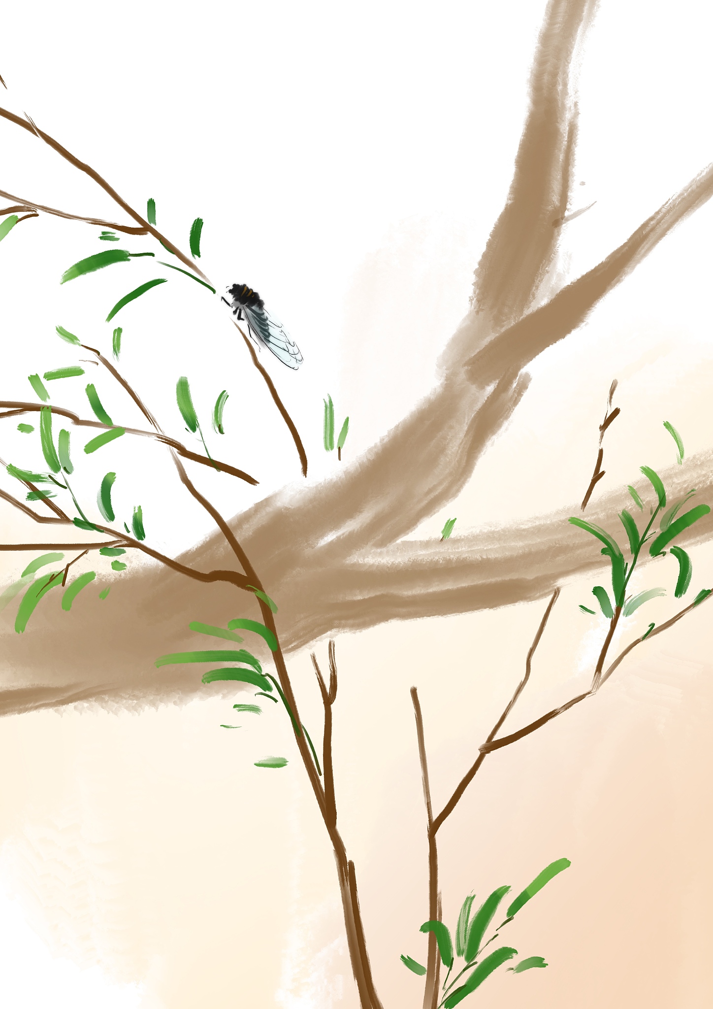 请歌颂夏天的诗歌