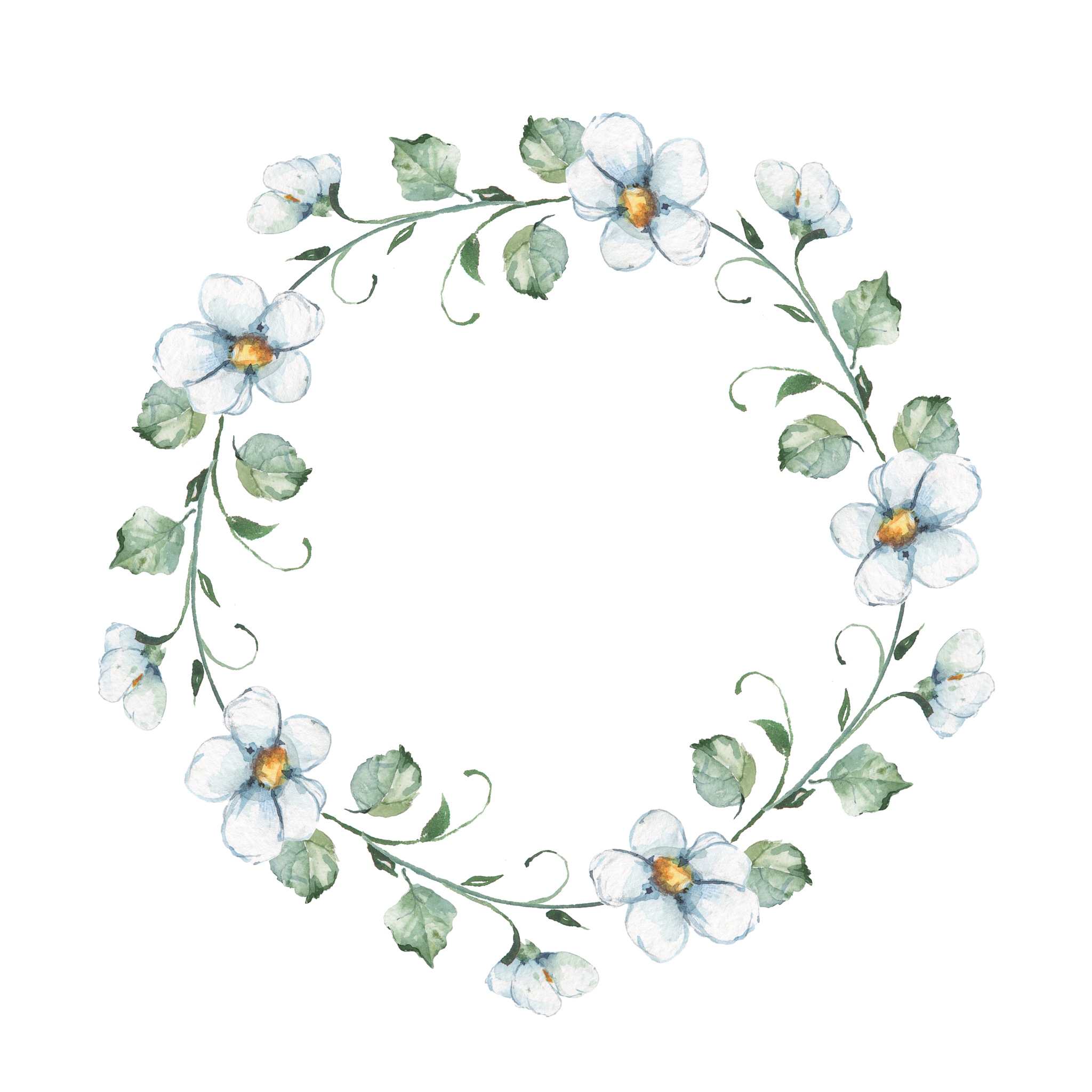 white flowers. watercolor floral wreath. hand drawn
