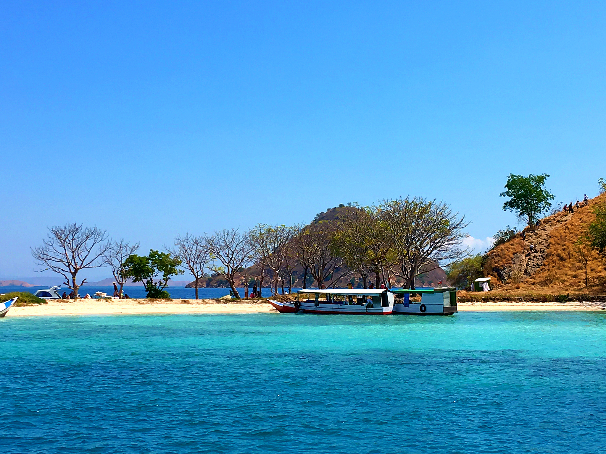 tourist boats at the coast of 'kelor island', komodo island (kom