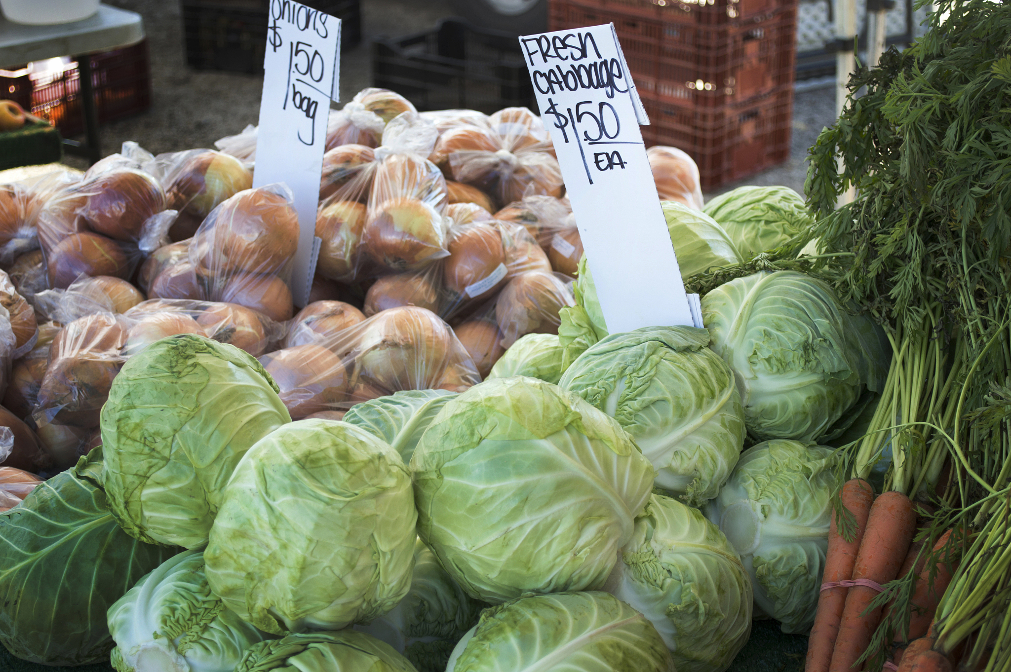 玉溪农业职业技术学院农业经济管理专业怎么样