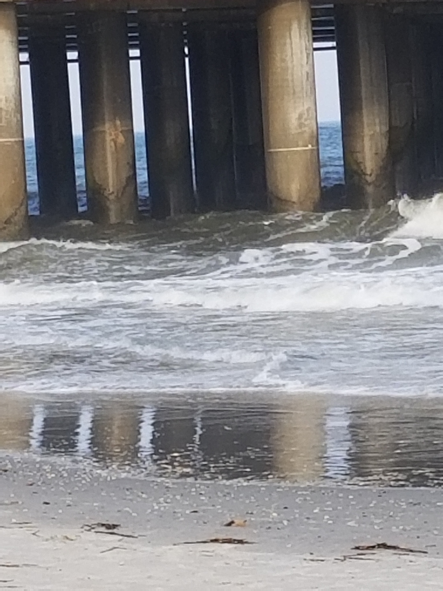 Rainwater Management and Oil Spill Prevention Measures During Heavy Rainfall Onboard Ships