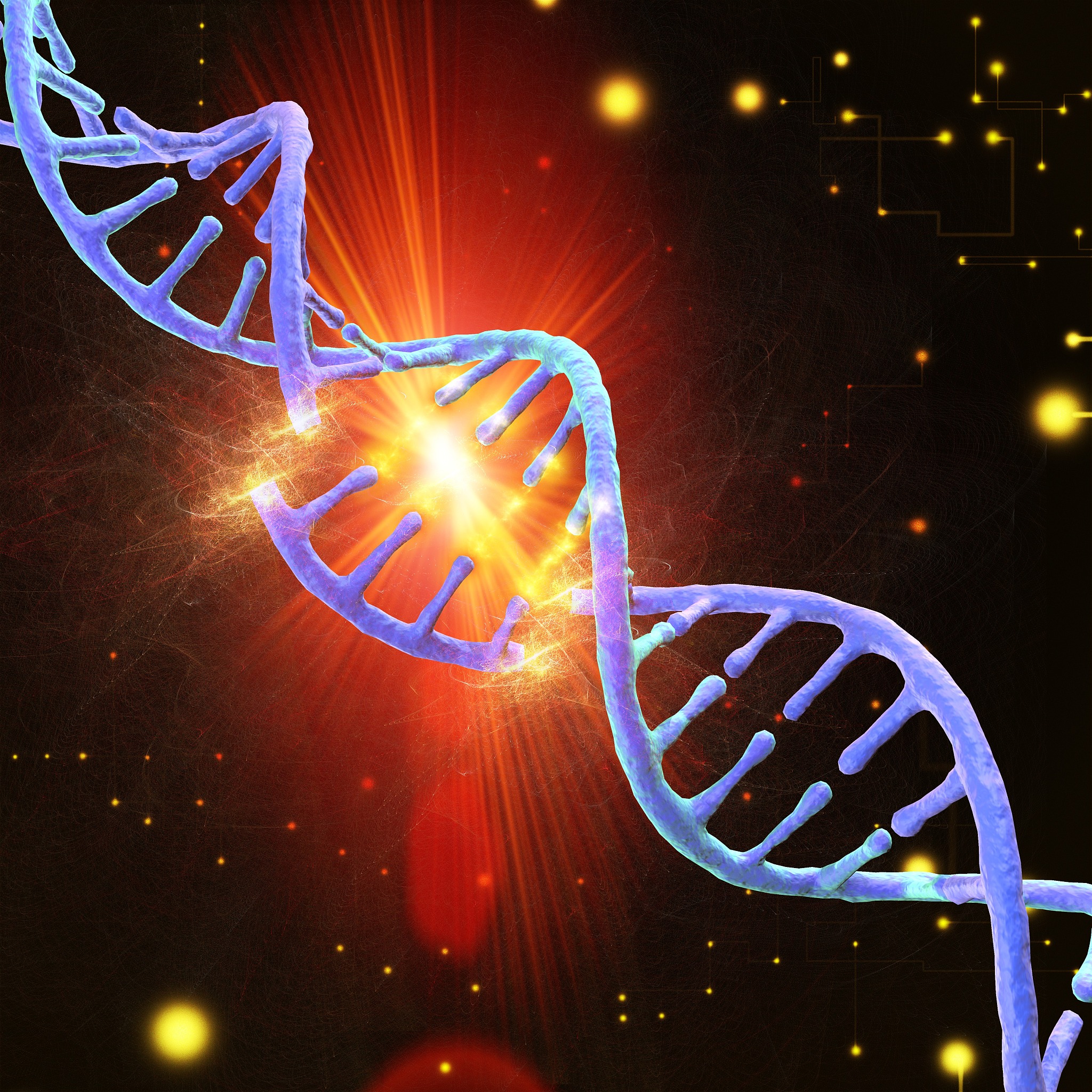 电离辐射对人体健康的影响：读书报告