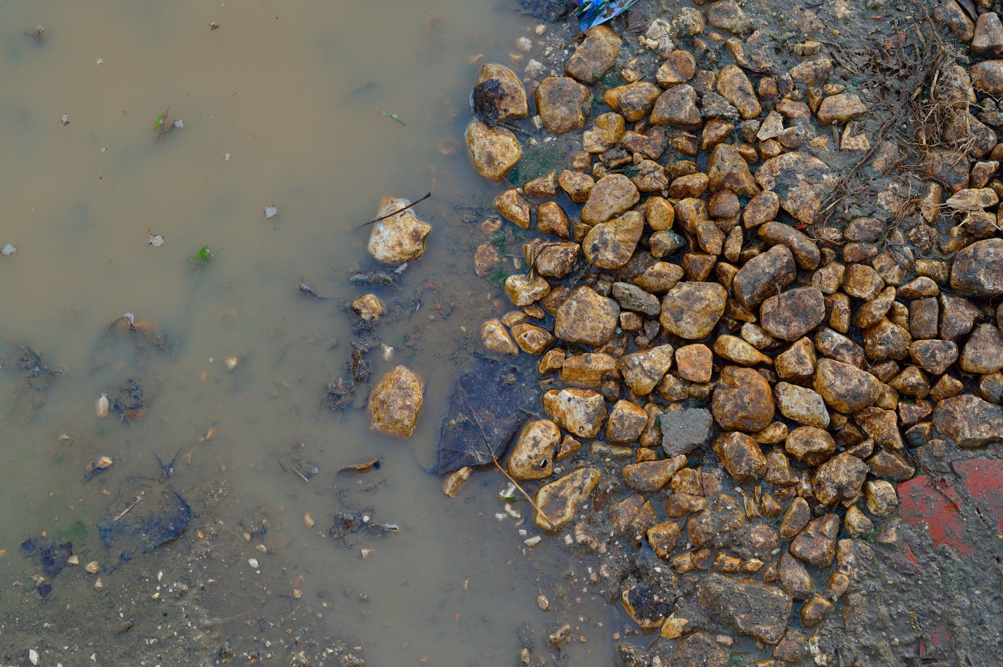 论文降重:为污泥絮凝提供有利的物理一化学条件厌氧污泥因此获得了良好的沉淀性能。 良好的污泥床可形成一种稳定的生物相抵抗较强的冲击。较大的絮体具有良好的沉淀性能设备内的污泥浓度从而被提高。 通过在反应器内设置沉淀区使得污泥细颗粒在沉淀区的污泥层内进一步絮凝和沉淀然后回流至反应器。 论文降重:为污泥絮凝提供有利的物理一化学条件厌氧污泥因此获得了良好的沉淀性能。 良好的污泥床可形成一种稳定的生物相抵抗较强的冲击。较大的絮体具有良好的沉淀性能设备内的污泥浓度从而被提高。 通过在反应器内设置沉淀区使得污泥细颗粒在沉淀区的污泥层内进一步絮凝和沉淀然后回流至反应器。