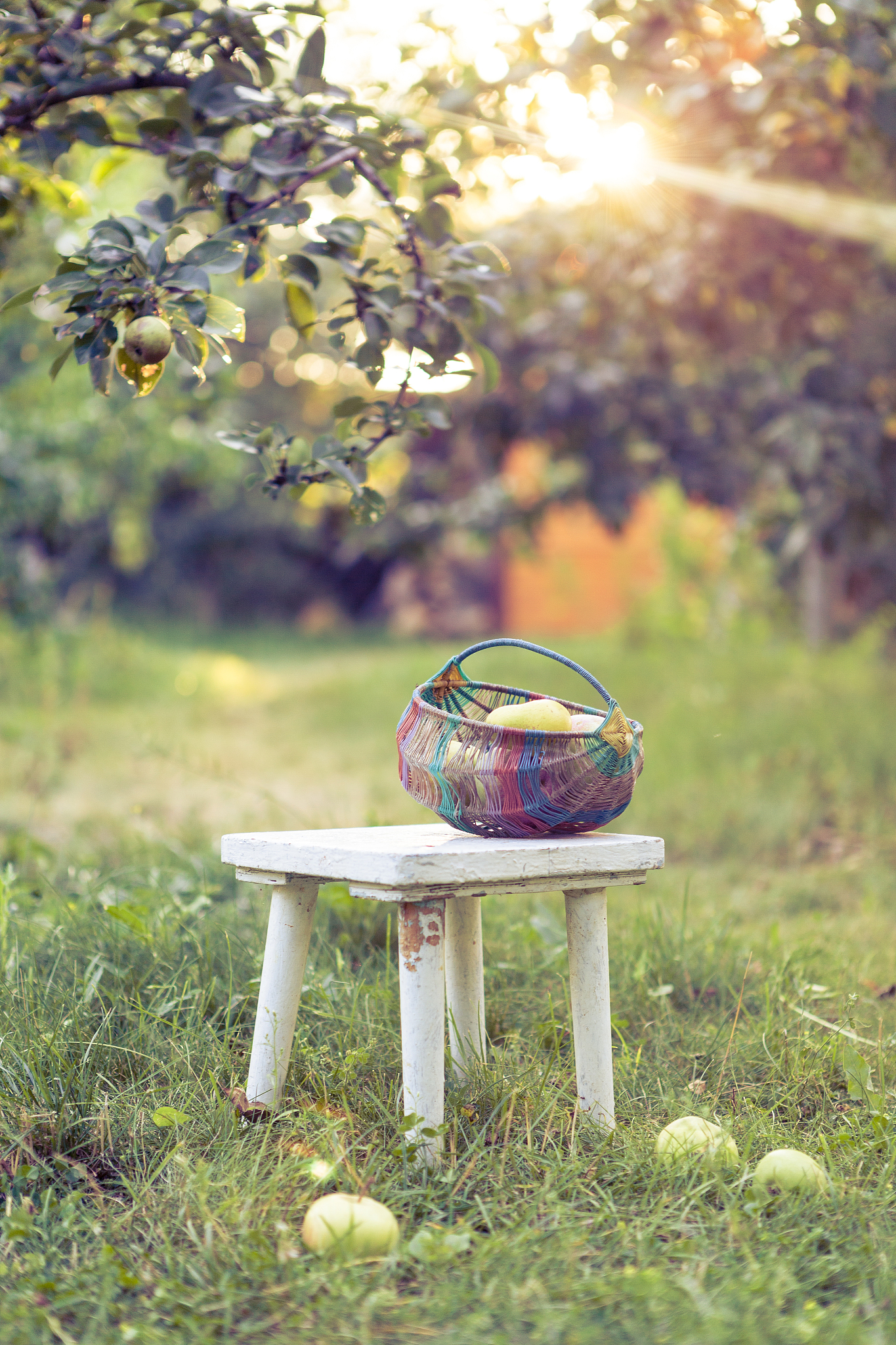 形容生活美好的词语：让你的生活充满幸福与快乐