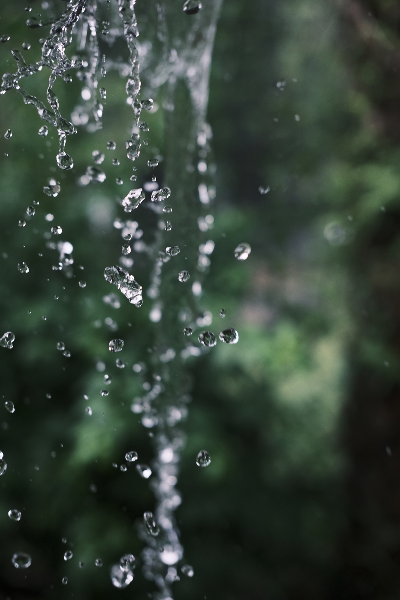 请根据雨字写一首诗
