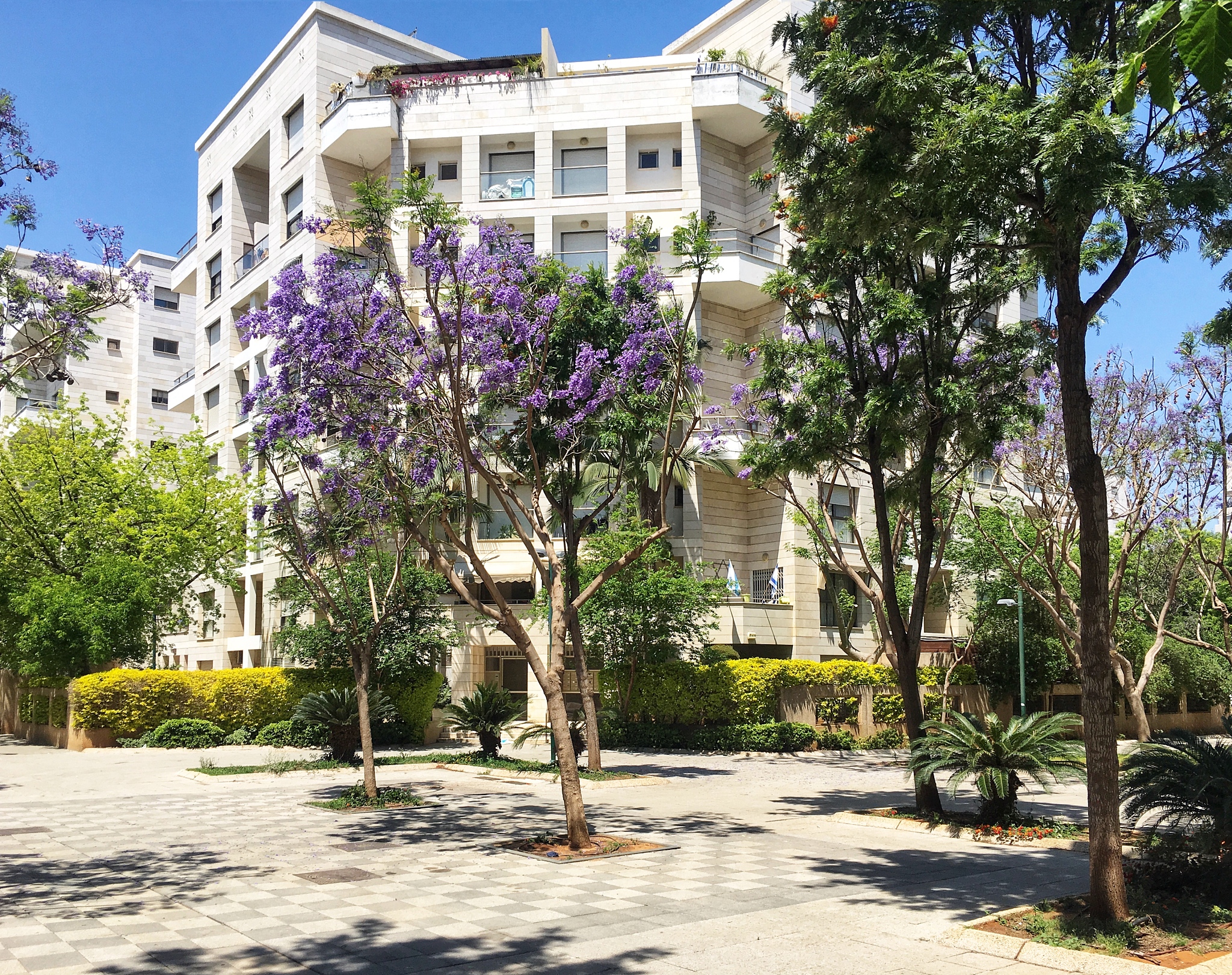 完善资产出租管理制度，提高资产利用效率