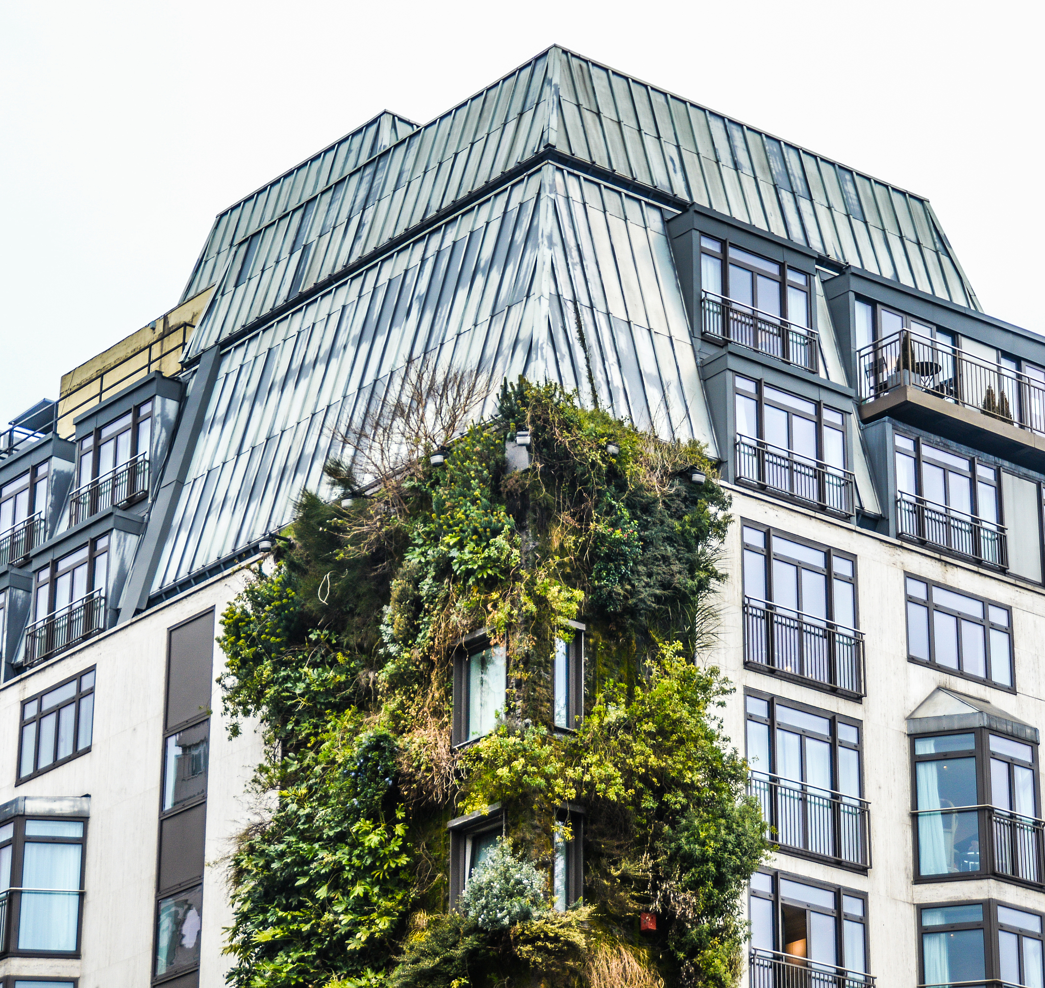 柯蒂斯音乐学院