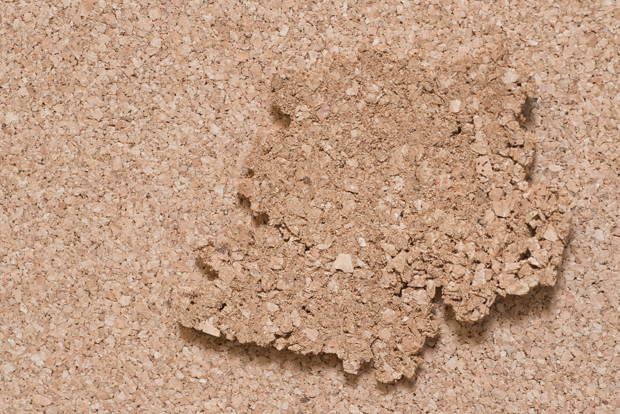 生活中1平方分米的物体有哪些