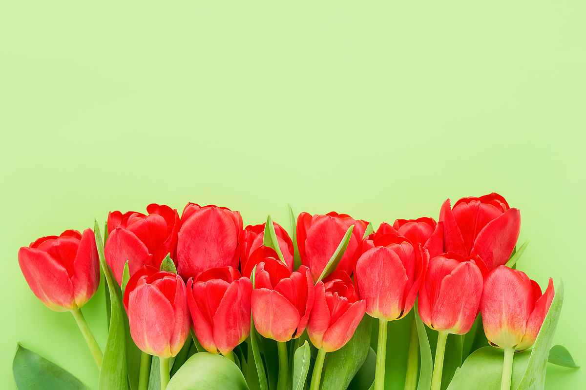 母亲节写给孩子妈妈的一封信