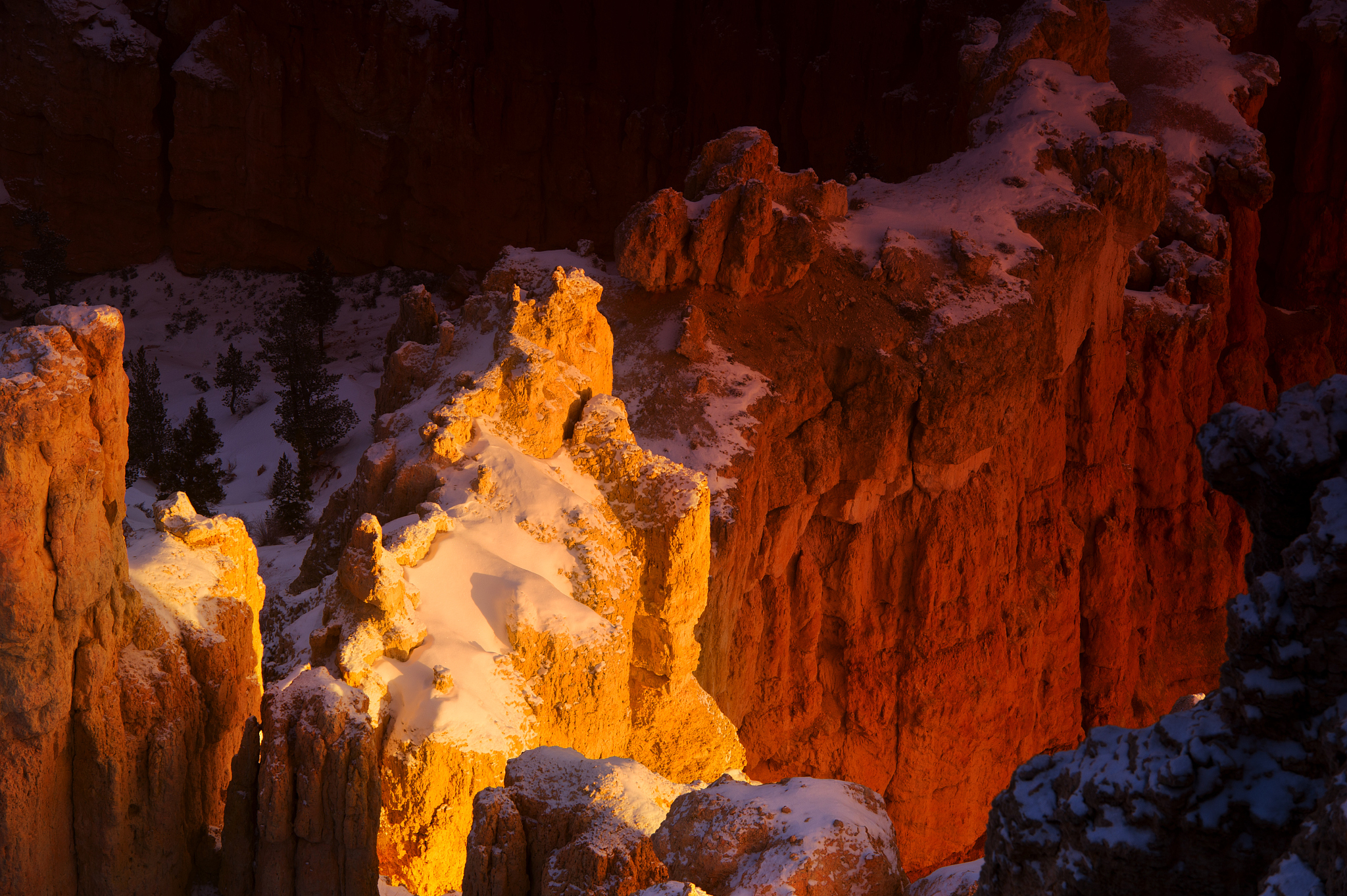 the fog in bryce canyon national park,  sun just rising