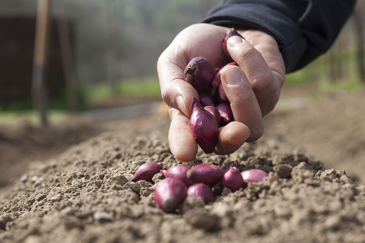 贵阳中考200分能读哪些职业学校？