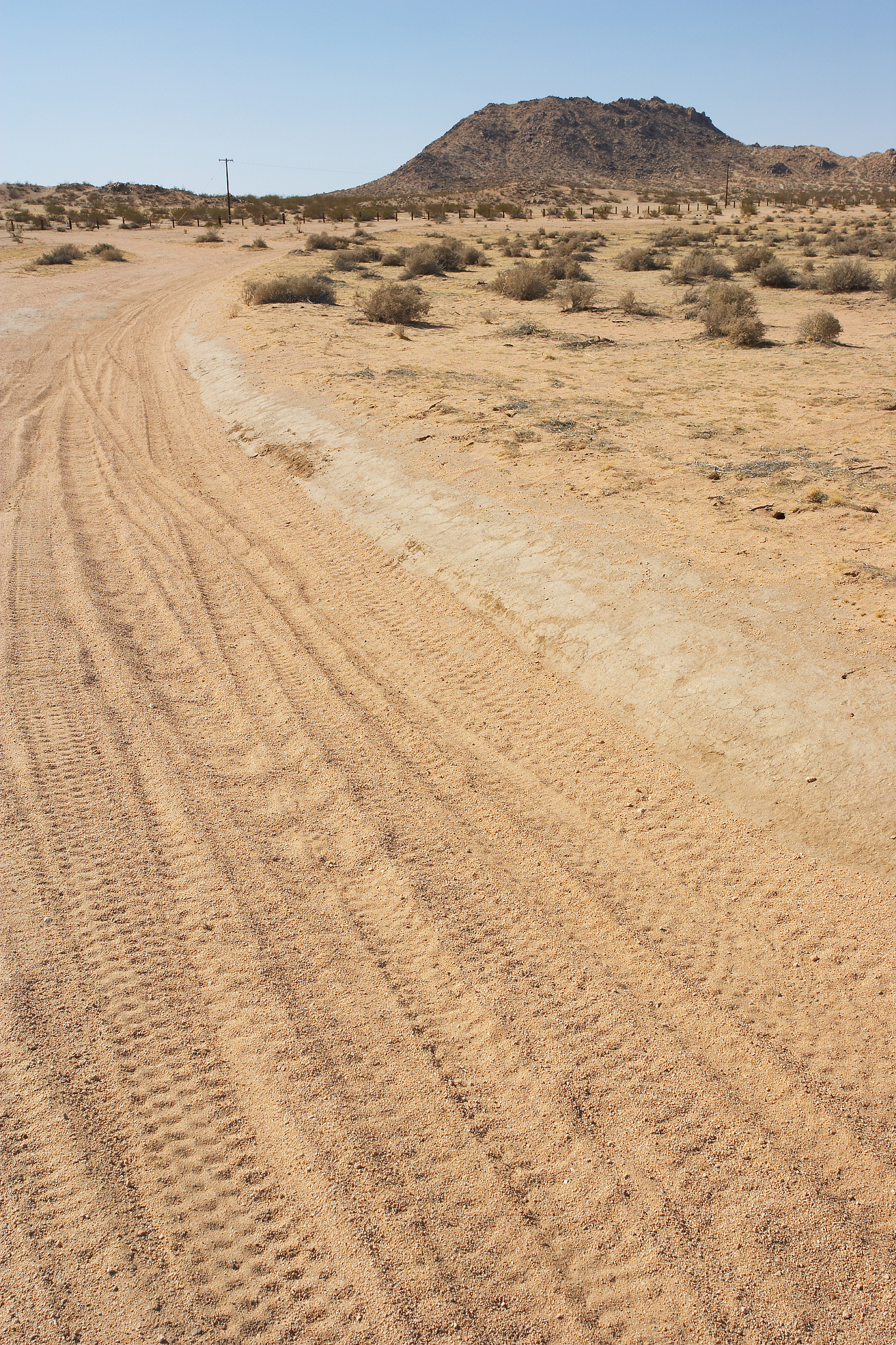 mohave desert