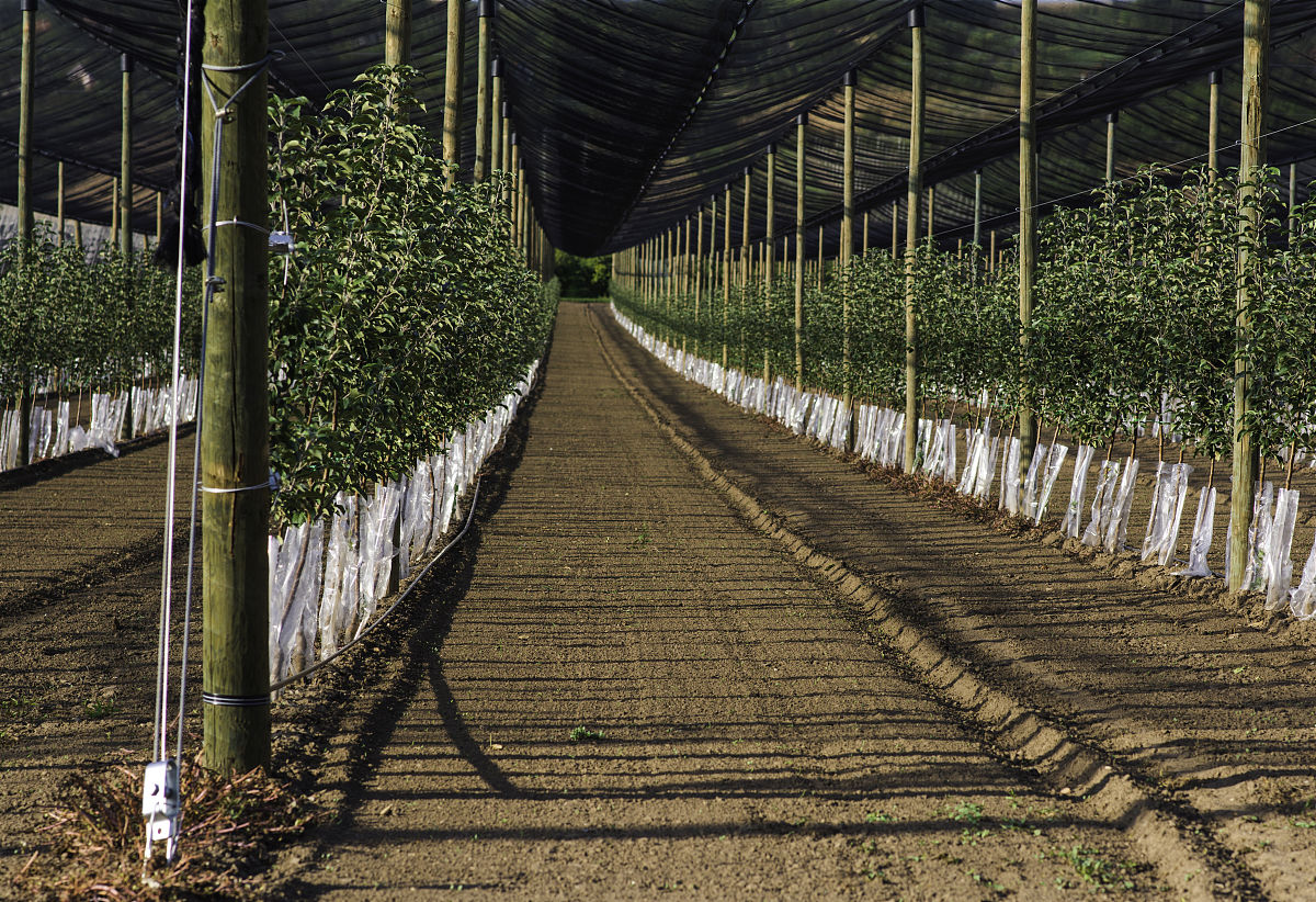 夫妻创业做什么好挣钱