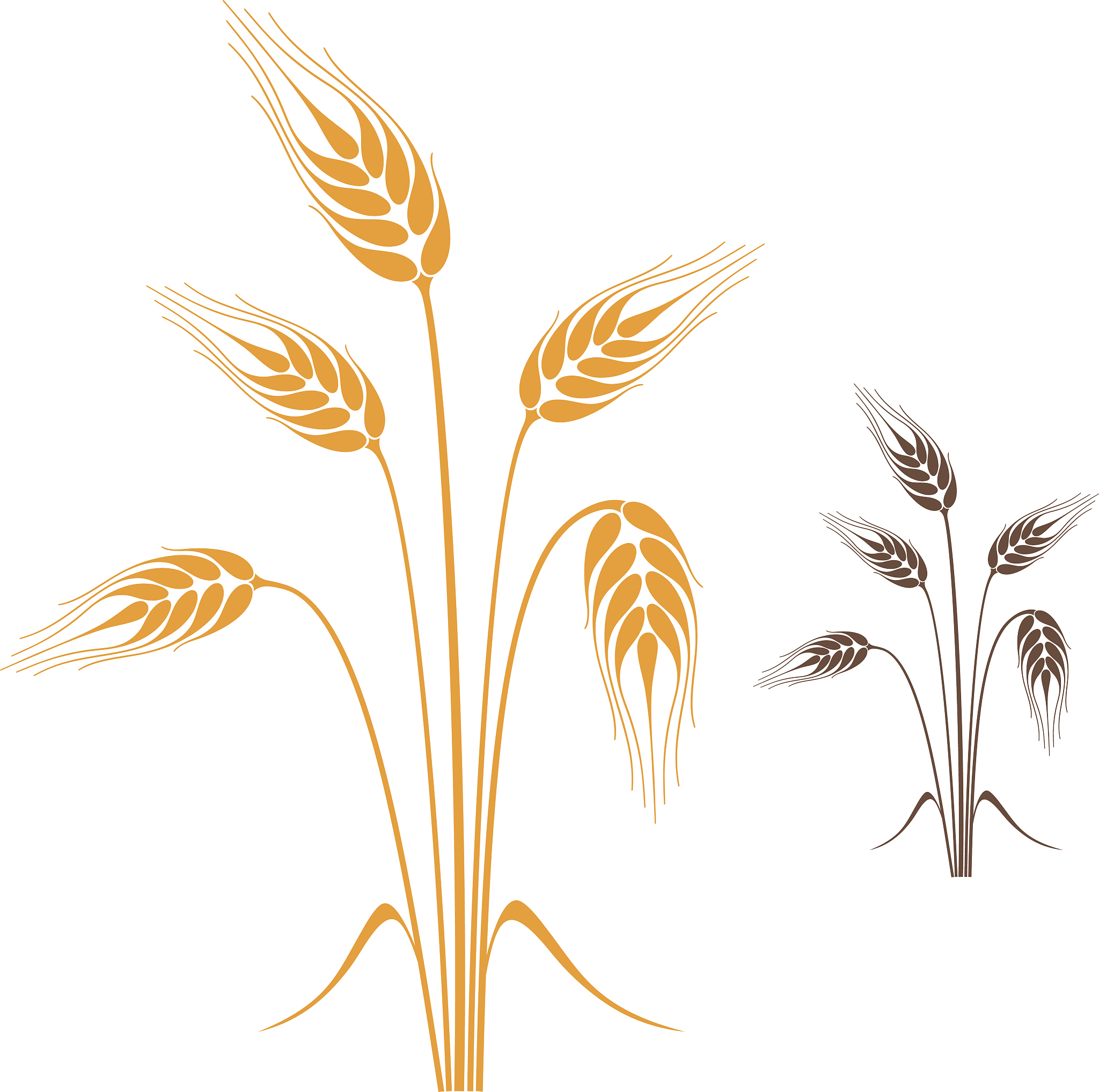 barley