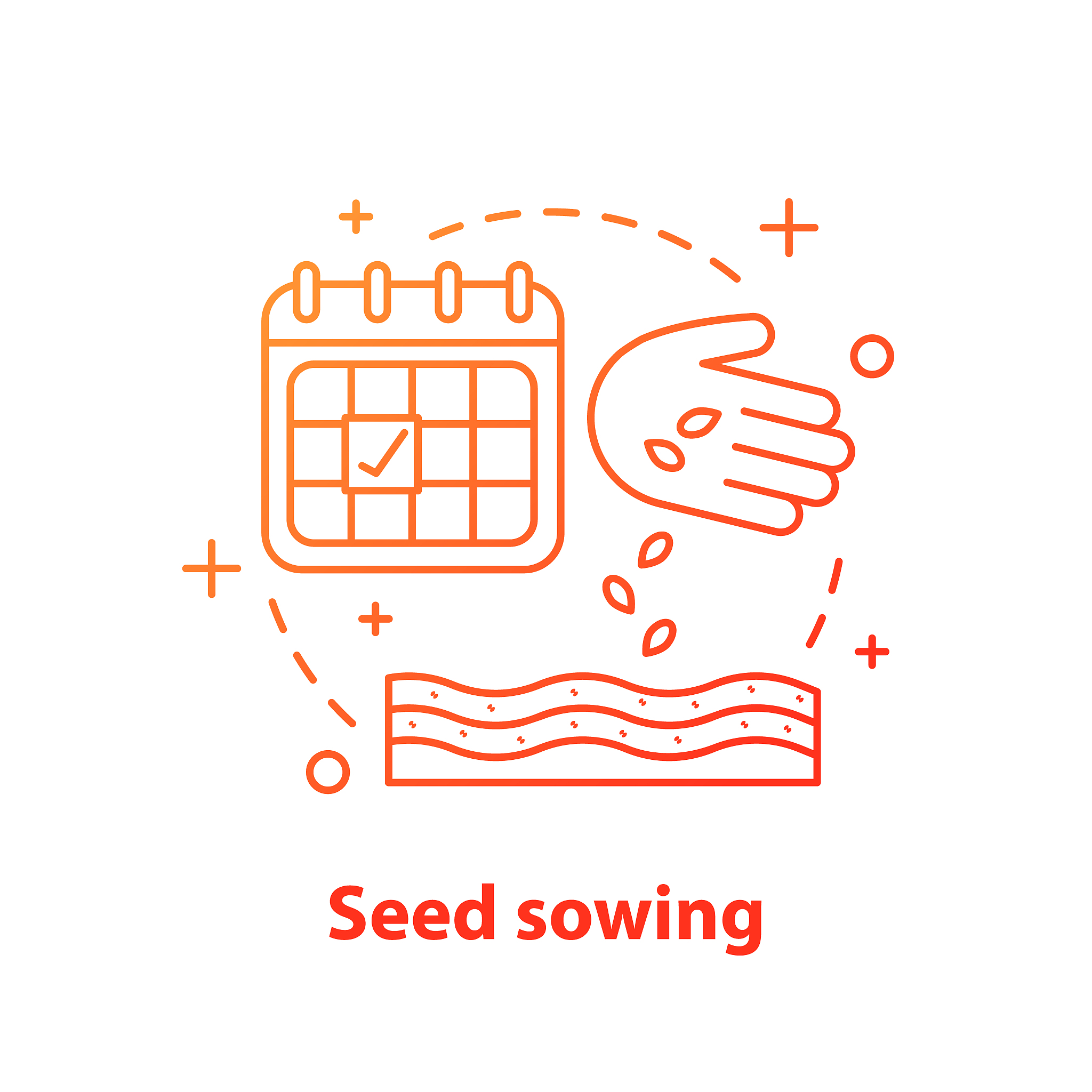 种子学与就业的课程中文论文撰写