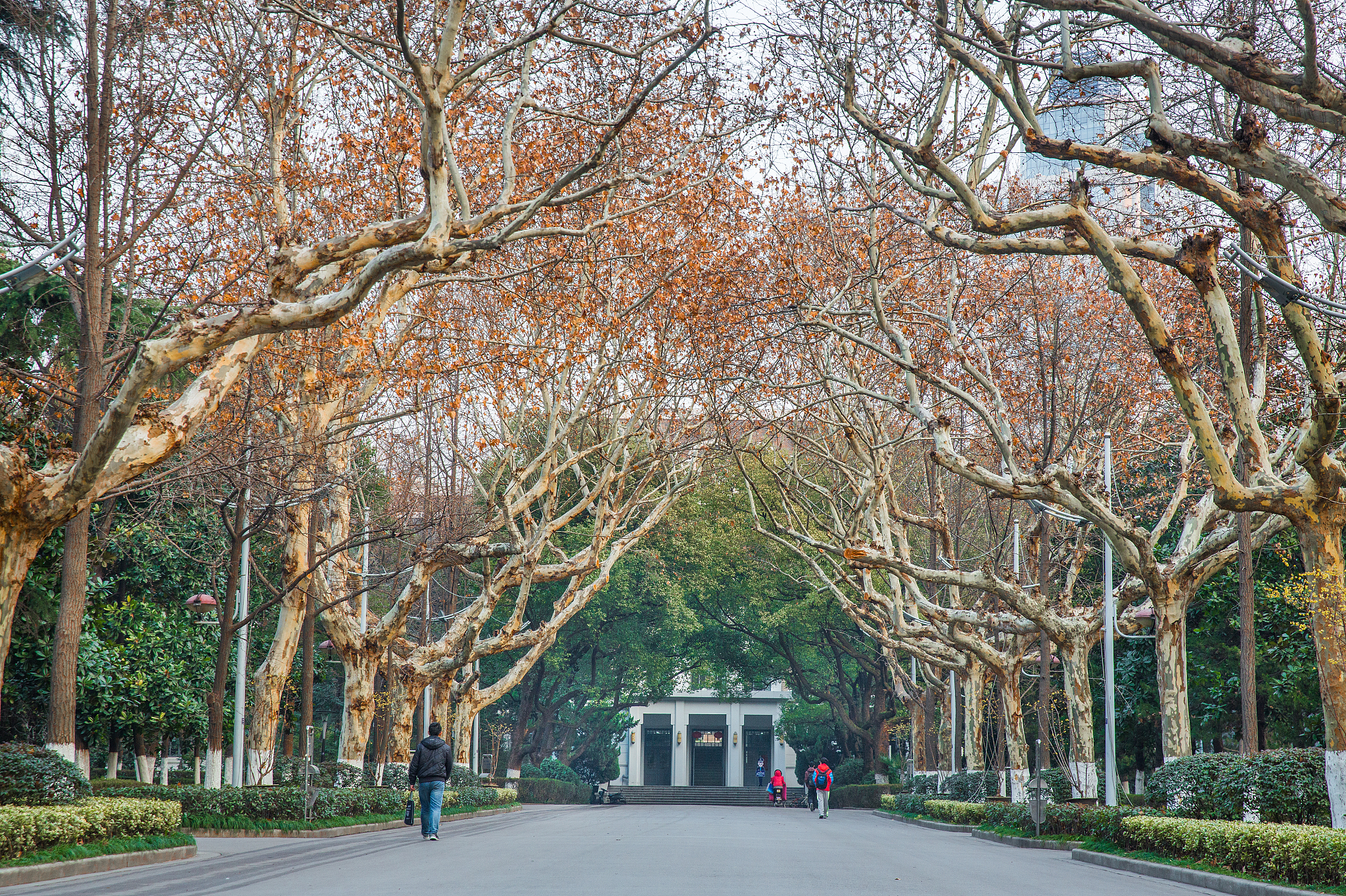写一篇二十大学习心得