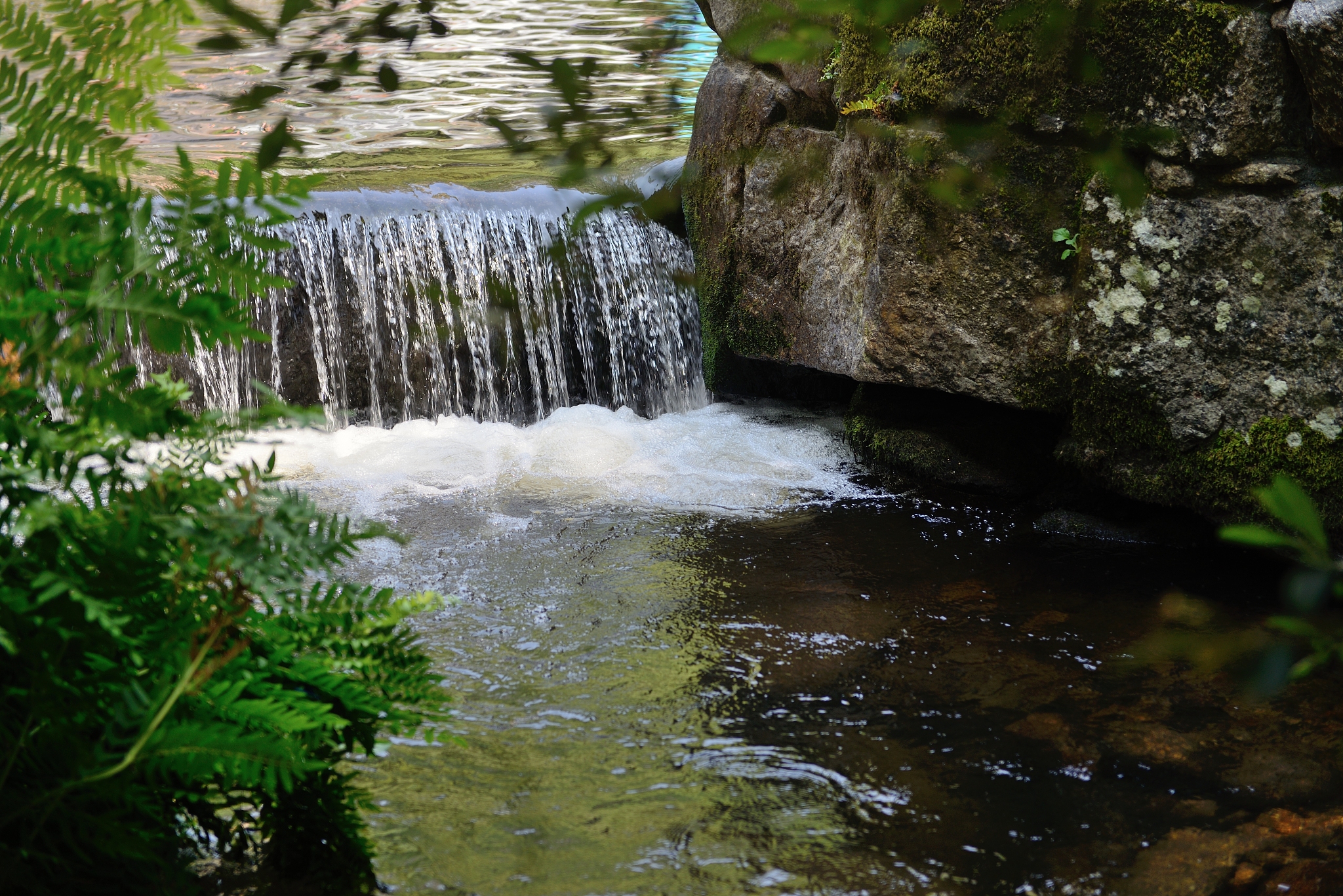 waterfall on a forest river