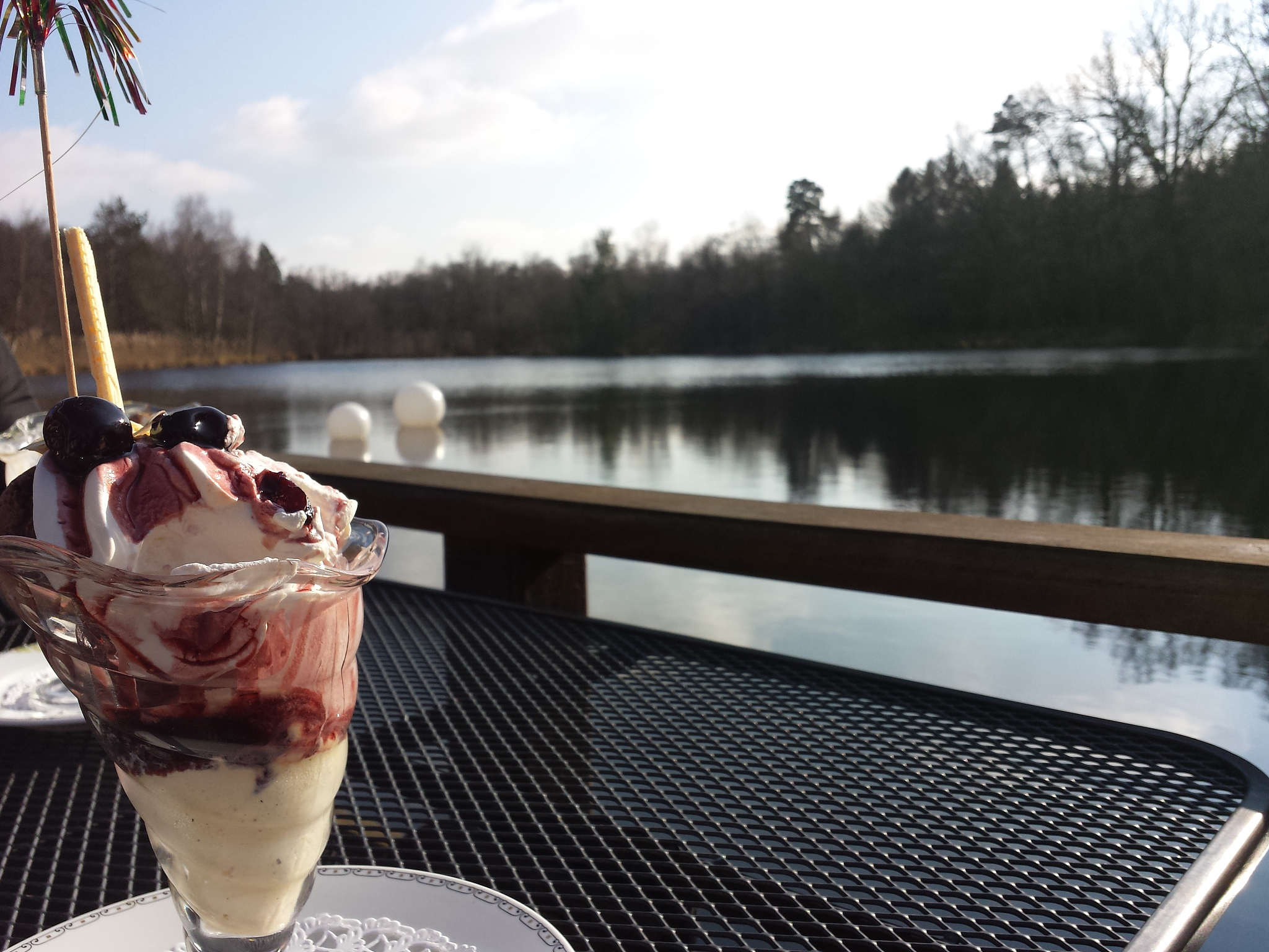 欣赏是美丽的享受 - 800字记叙文