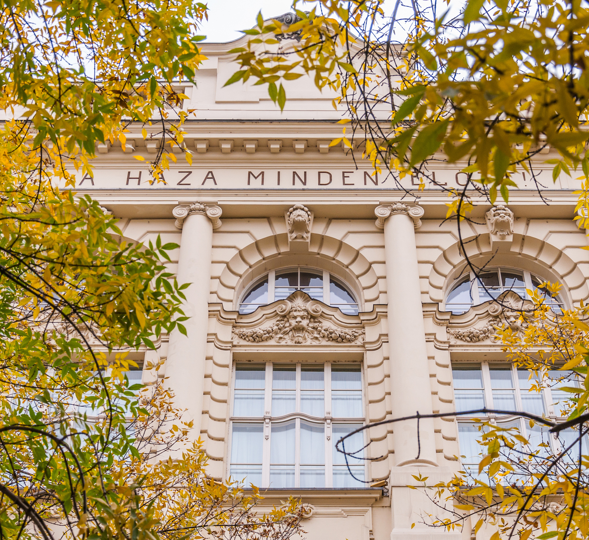 europe building behind branch