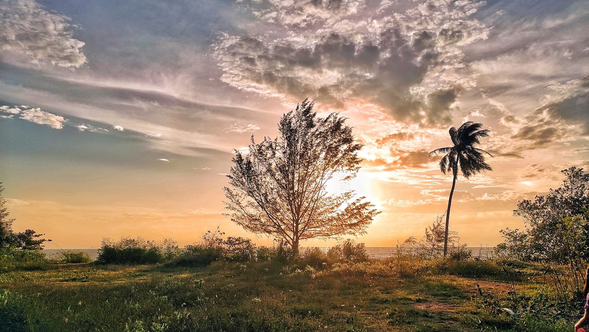清晨的芬芳伴随着鸟儿悠扬的歌声。树叶上的露珠在太阳的亲吻下闪闪发光。 改写成押韵的句子