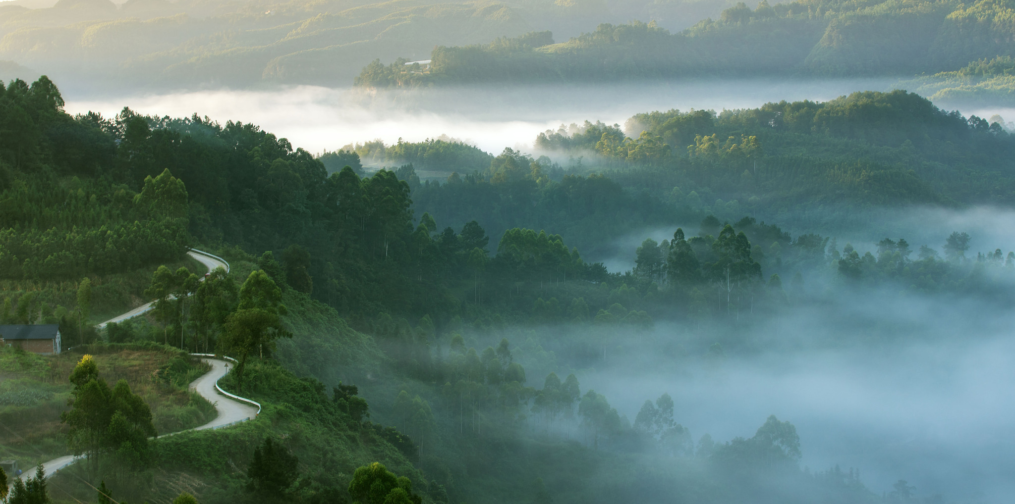 资阳师范学校2019年招生简章