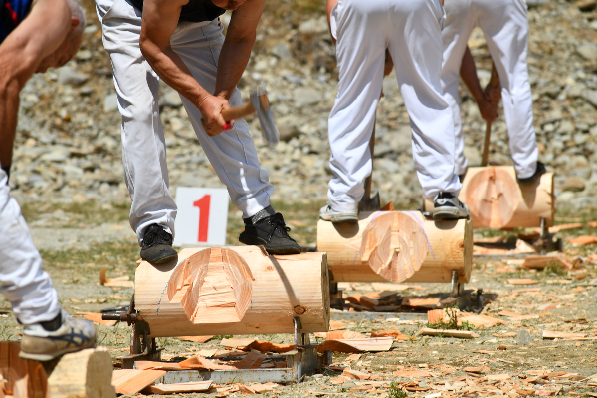 福建林业职业技术学院木材加工技术专业如何好学吗
