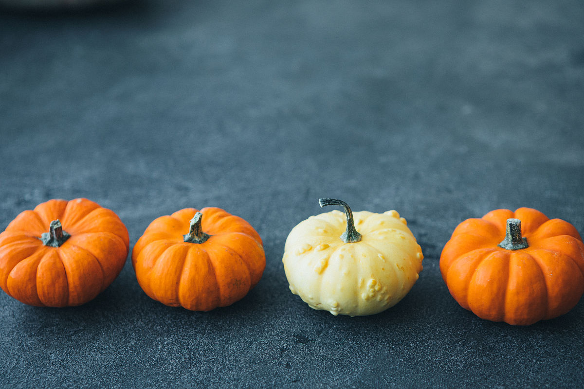 浓浓年味，幸福满溢 - 我的春节回忆