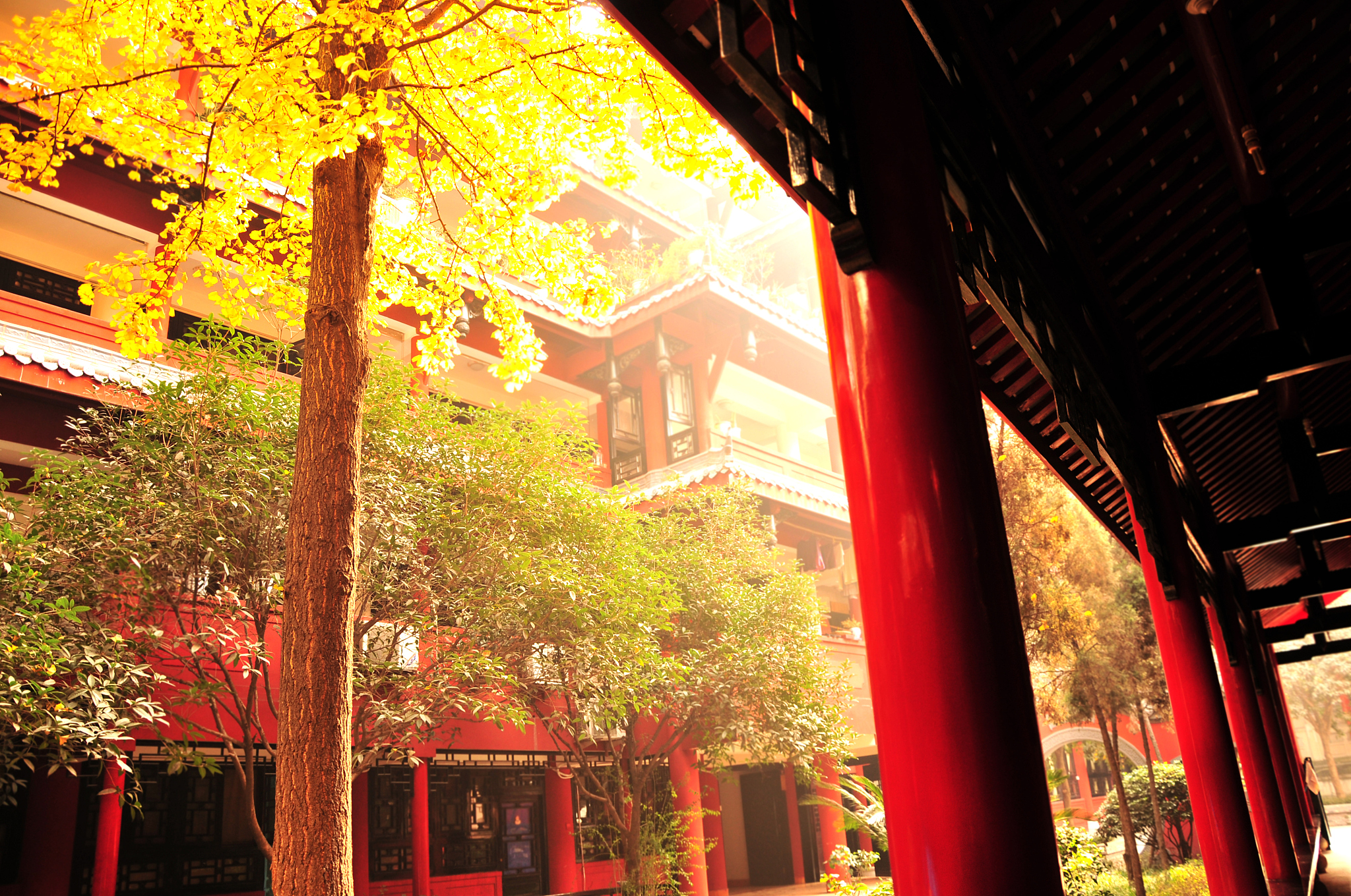 2020年成都信息工程大学银杏酒店管理学院营销与策划专科专业介绍