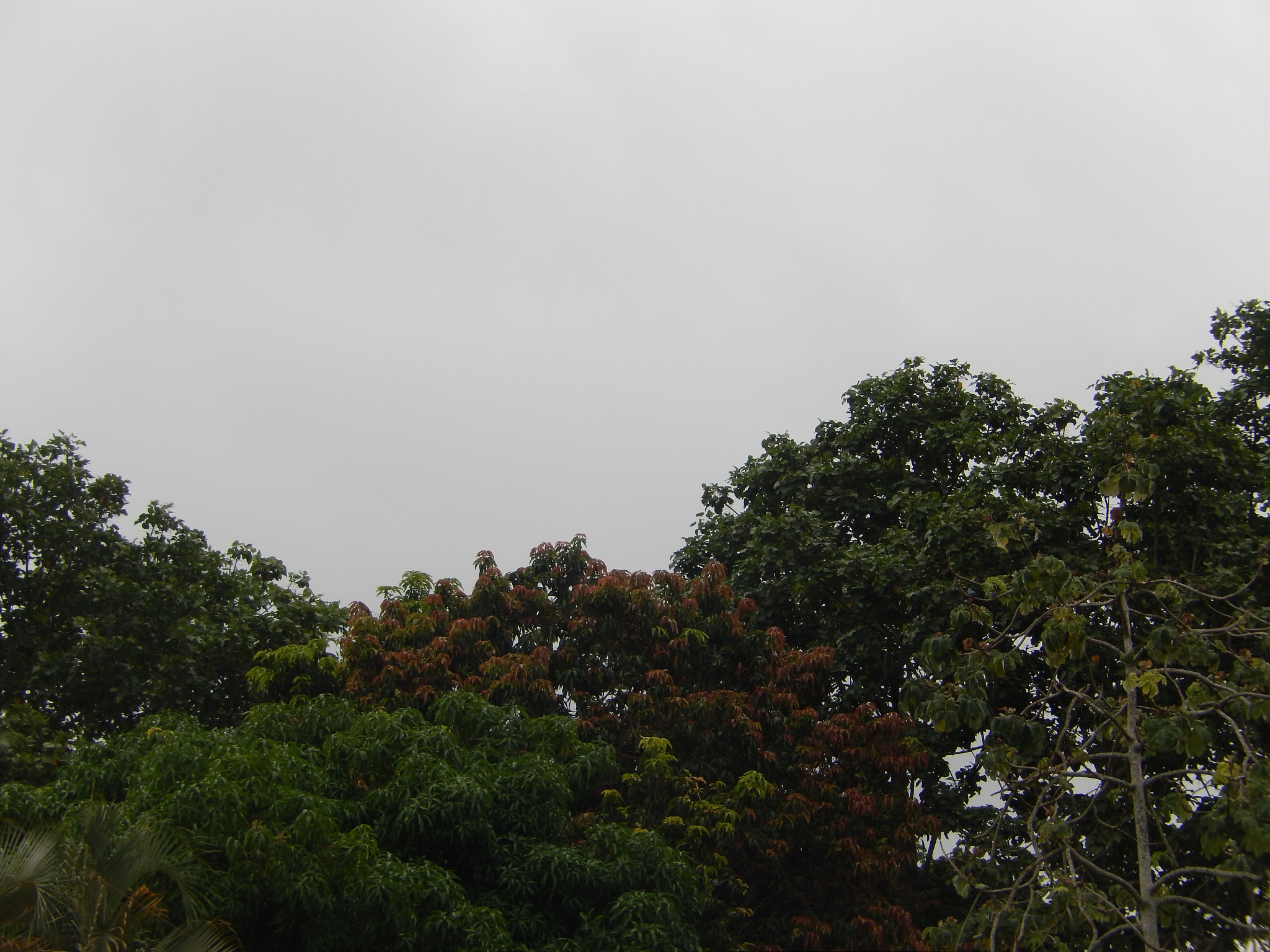 2021森林资源保护专业怎么样？