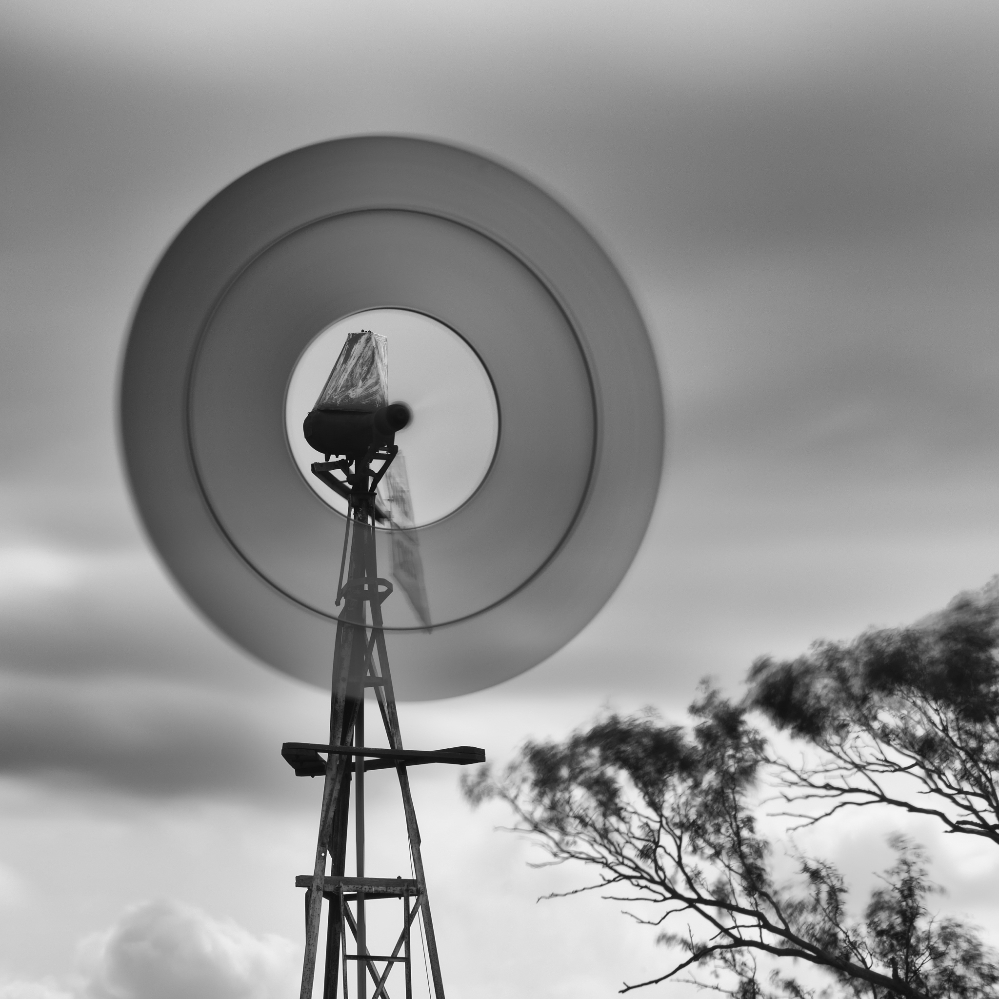 windmill in the countryside. black and white.