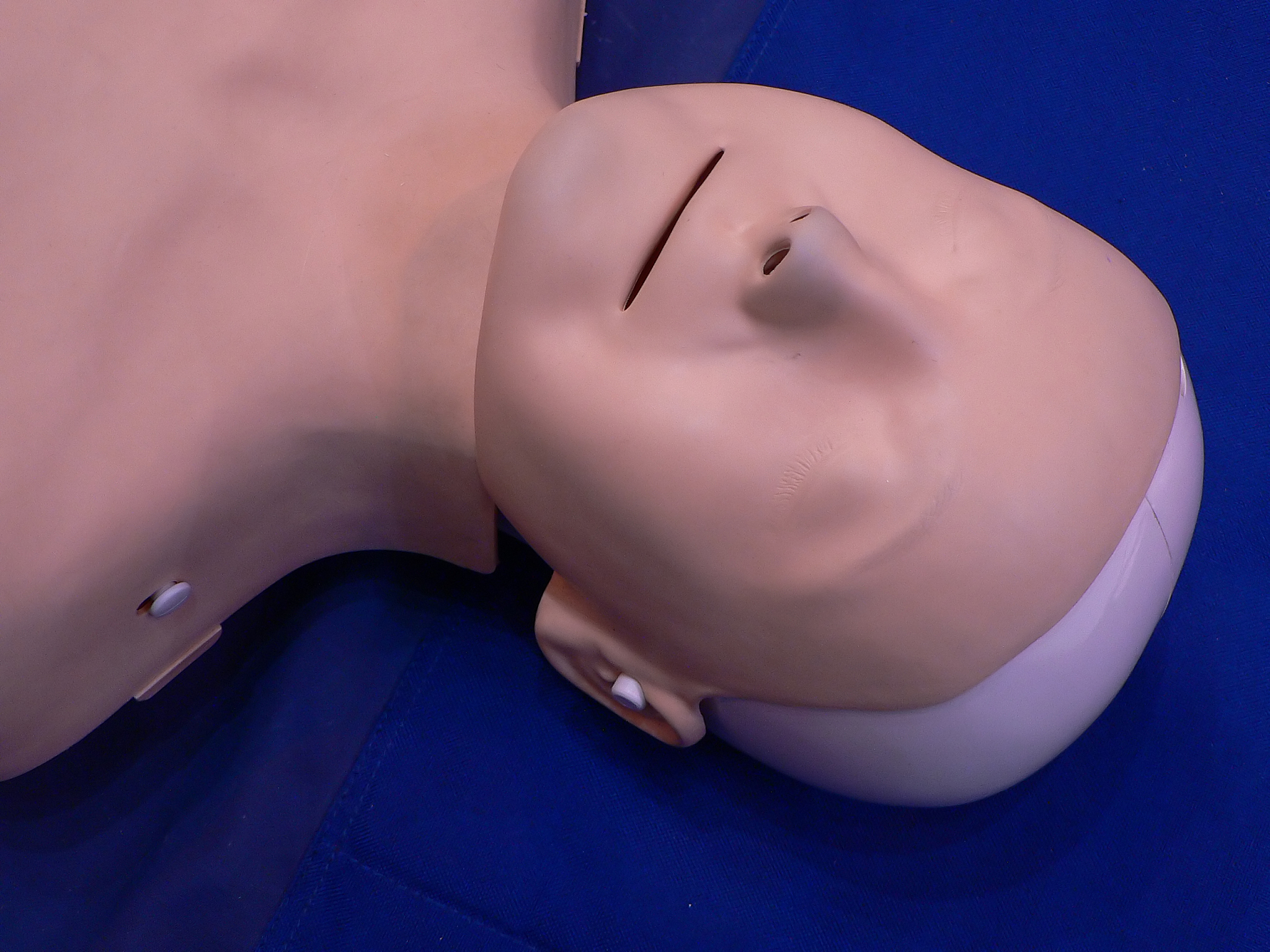 未来科技：身体改造师的崛起与乳晕的秘密