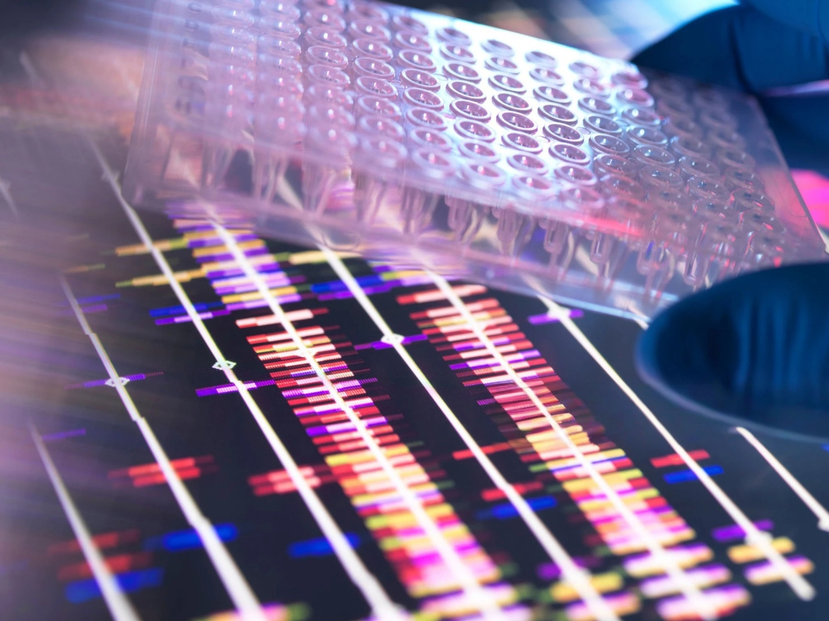 量子计算机：什么是量子计算机？原理、应用及挑战