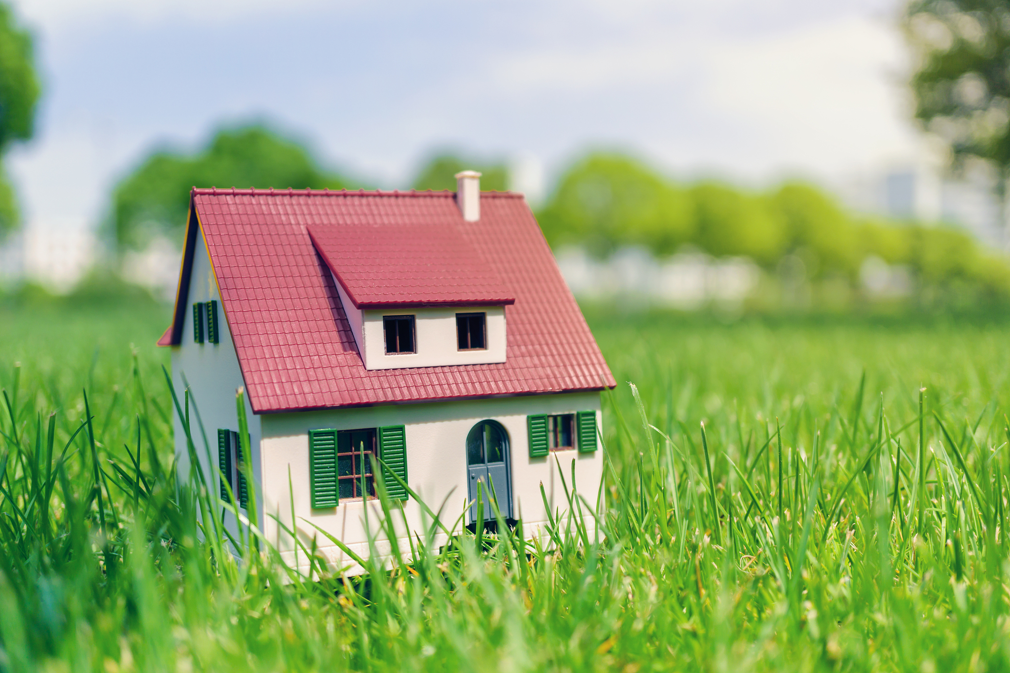 house on grass field