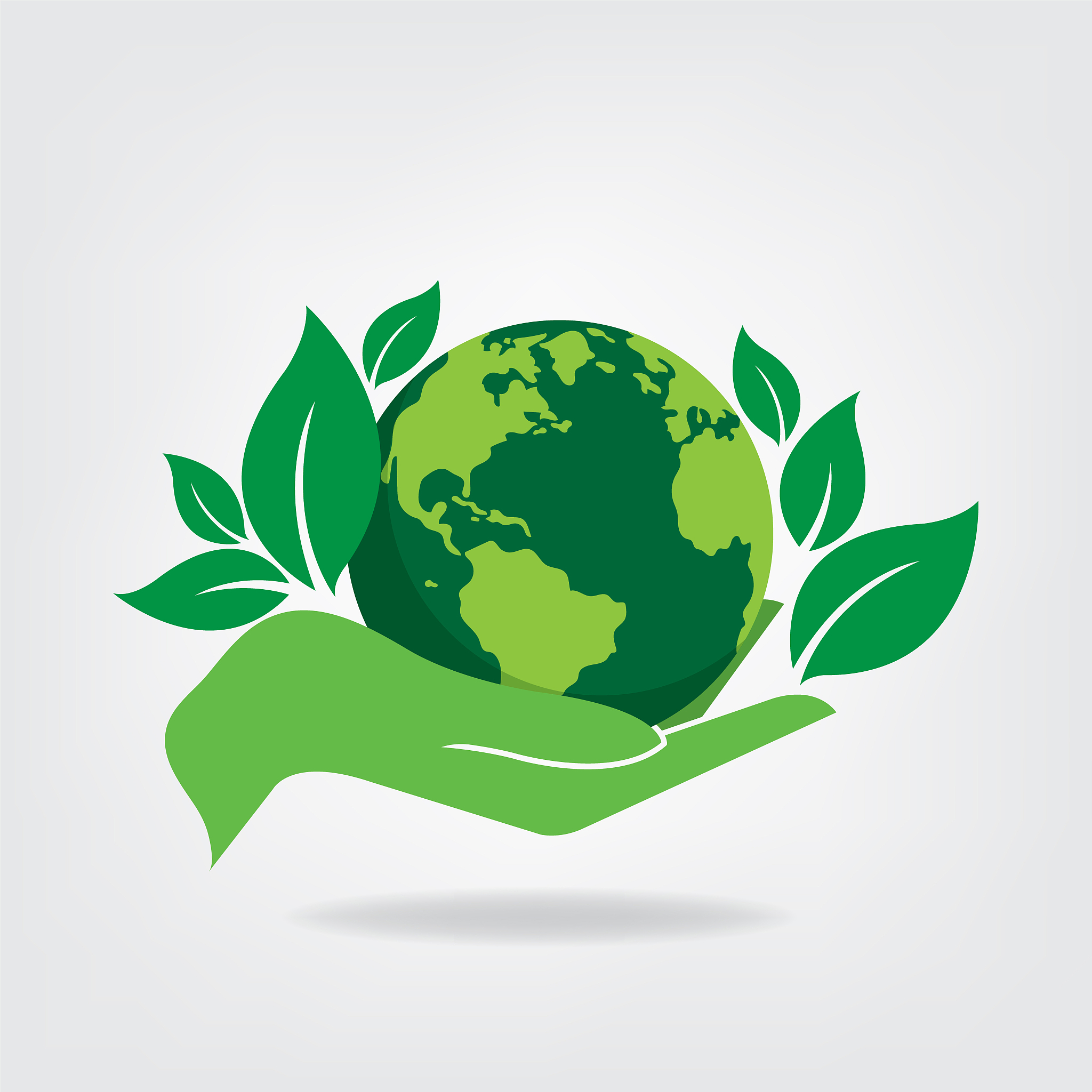 工作中的环保行动：从我做起，共建美好未来