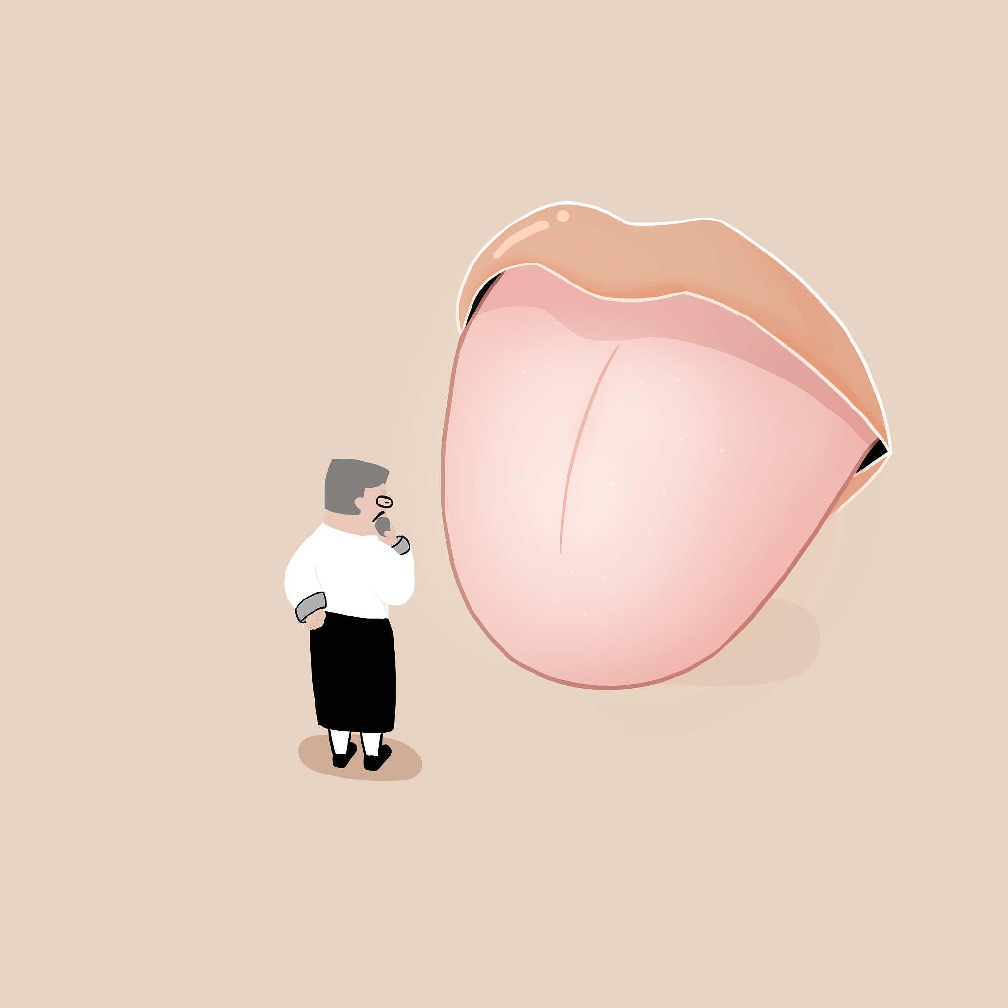 根据中医舌诊的知识舌尖主要反映内脏 的情况、舌边主要反映内脏 的情况、舌中主要反映内脏 的情况、舌根主要反映内脏 的情况。