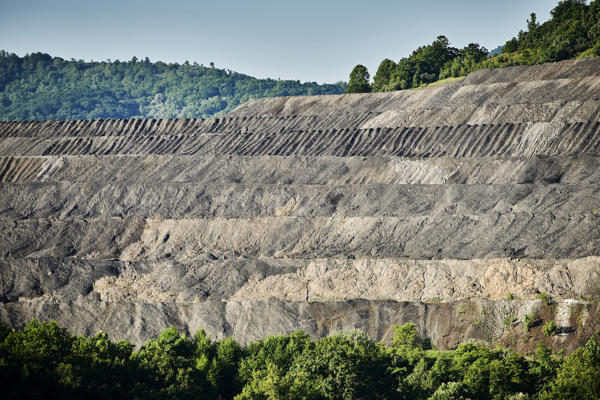 森林采运工程专科课程有哪些？