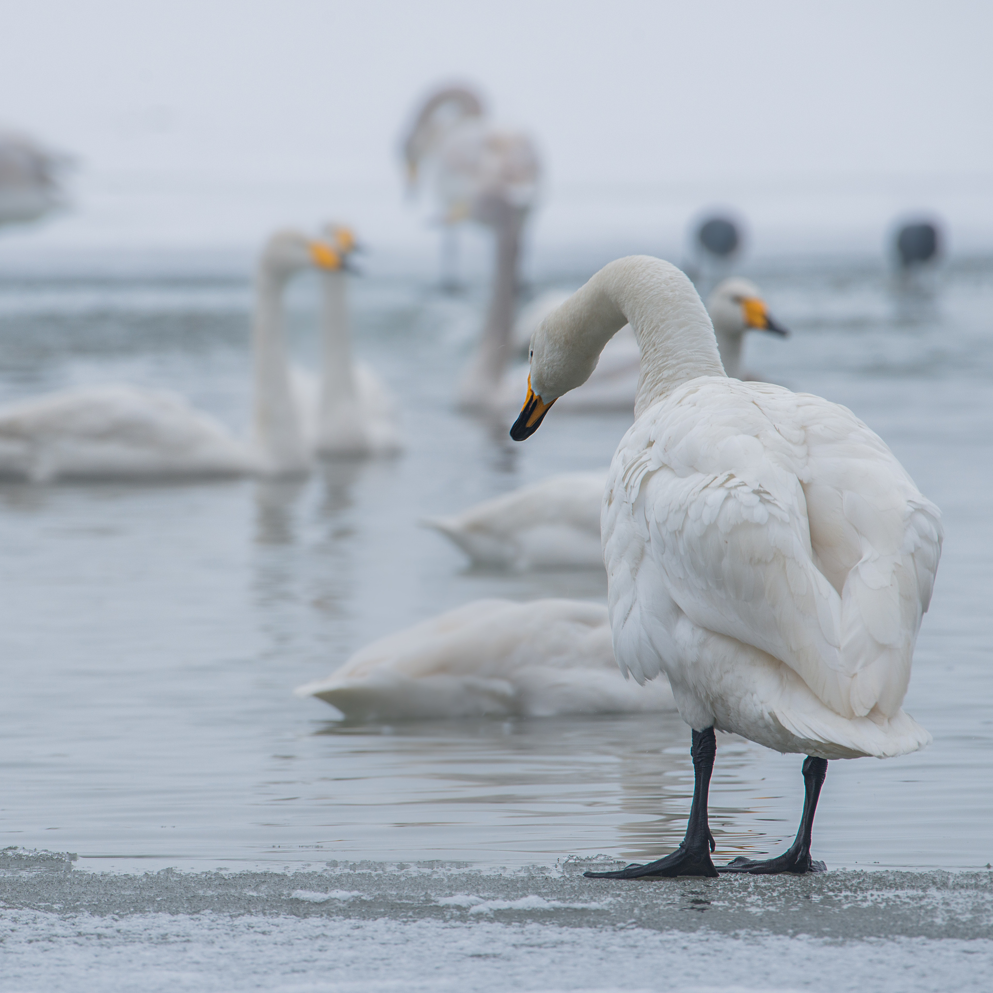 三门峡职业技术学院专业设置：技能型人才培养的摇篮