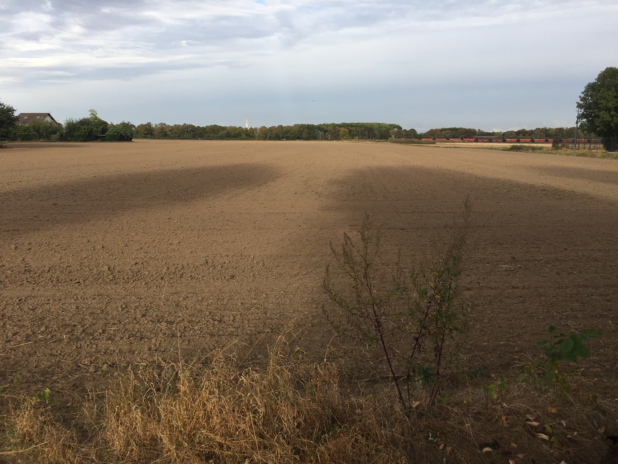 agricultural field against cloudy sky
