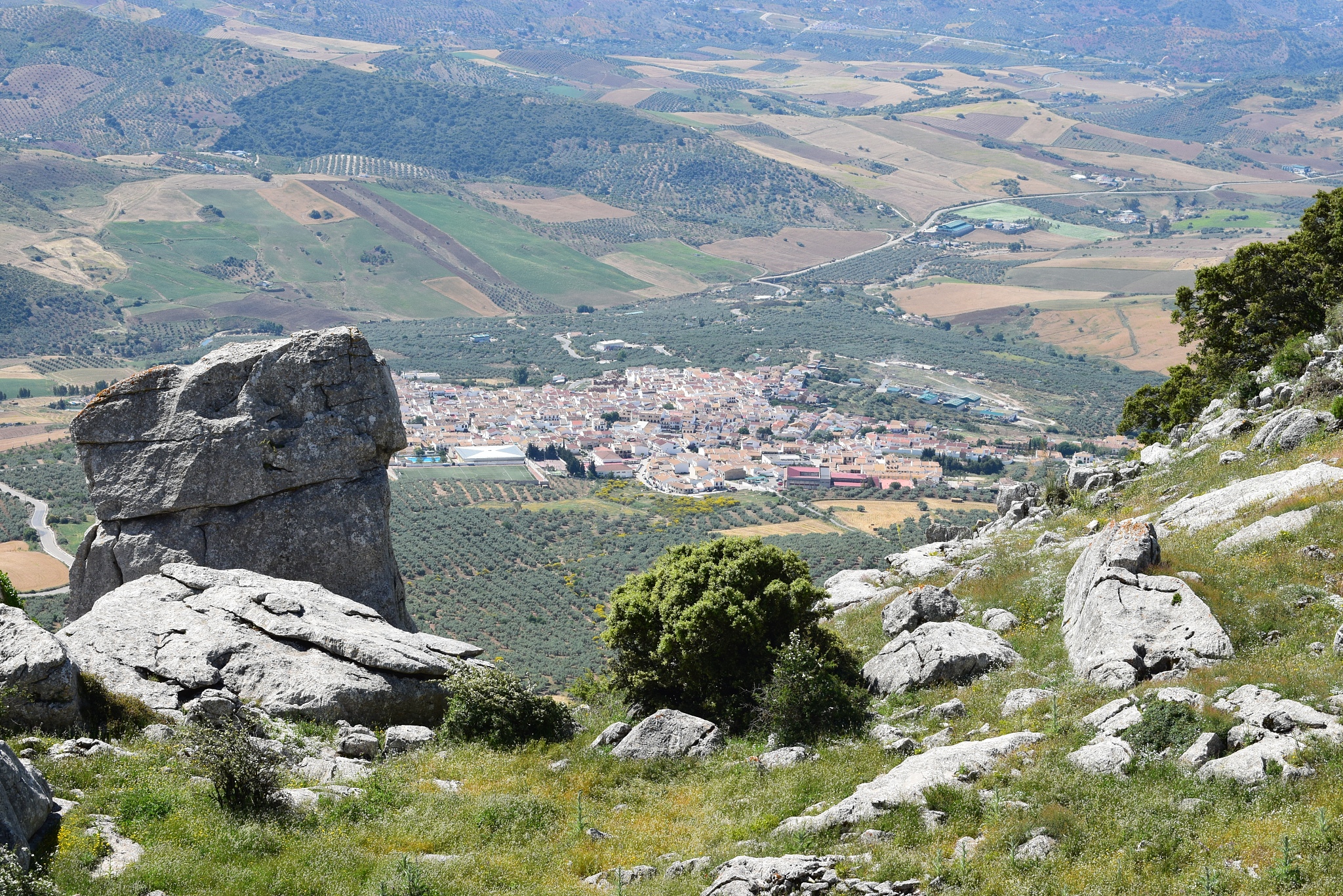 aerial view of landscape