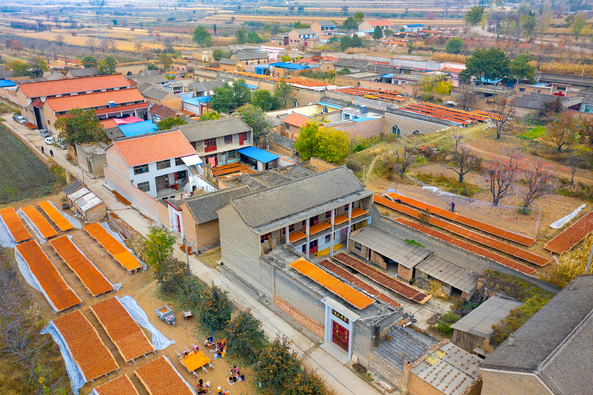 东丰县乡村振兴：历史传承与美丽乡村建设