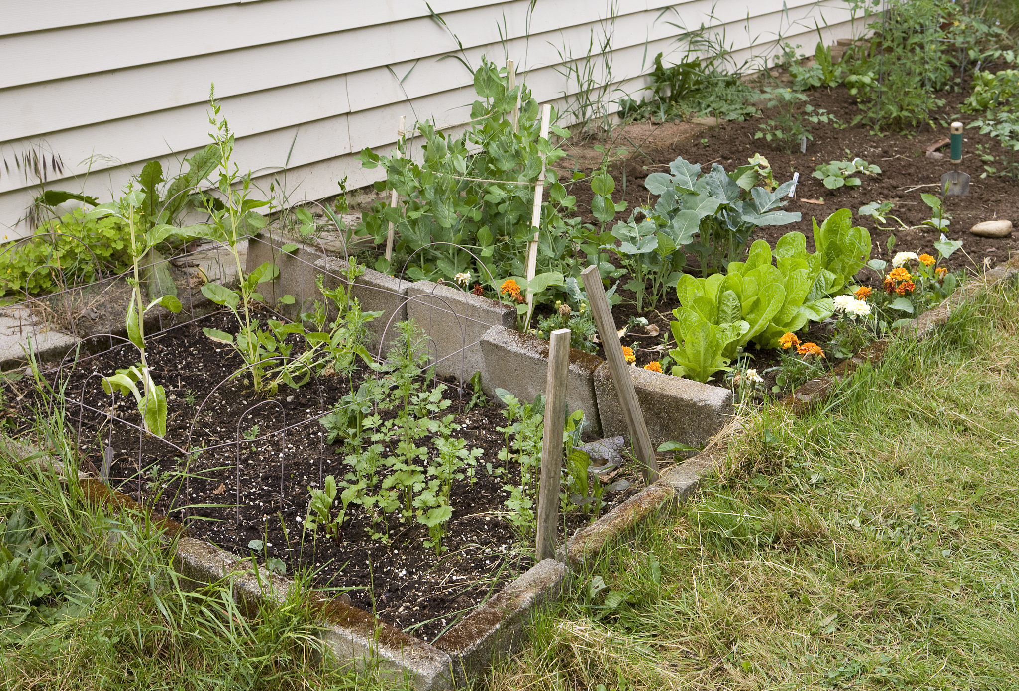 PLANTERS & RAISED BEDS 缩写成目录名