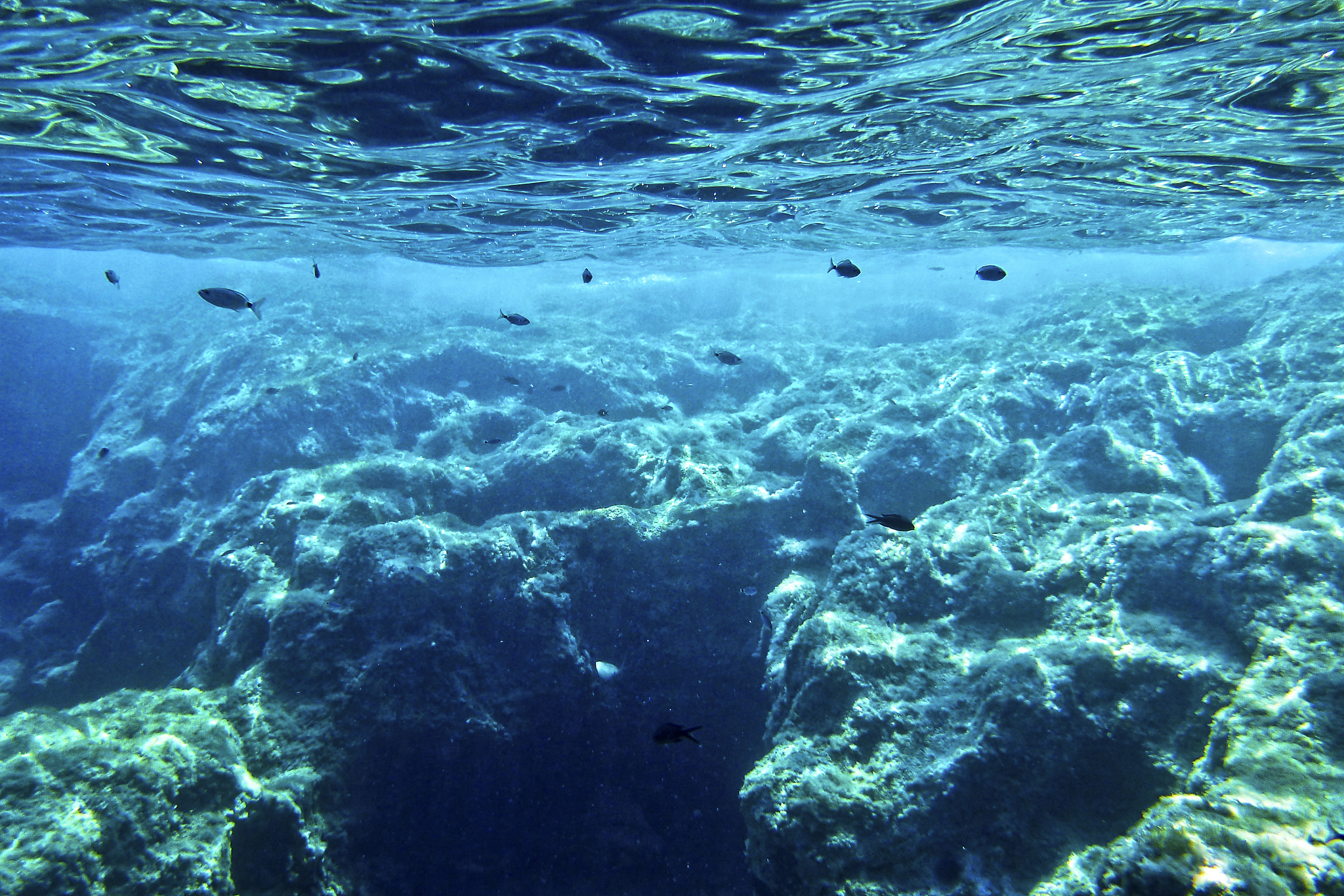 underwater world