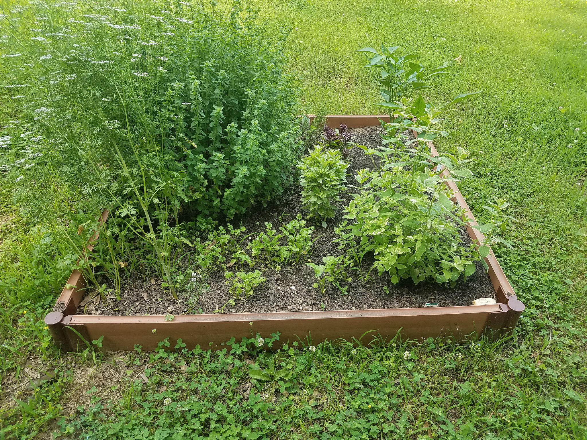 Planters & Raised Beds: A Comprehensive Guide