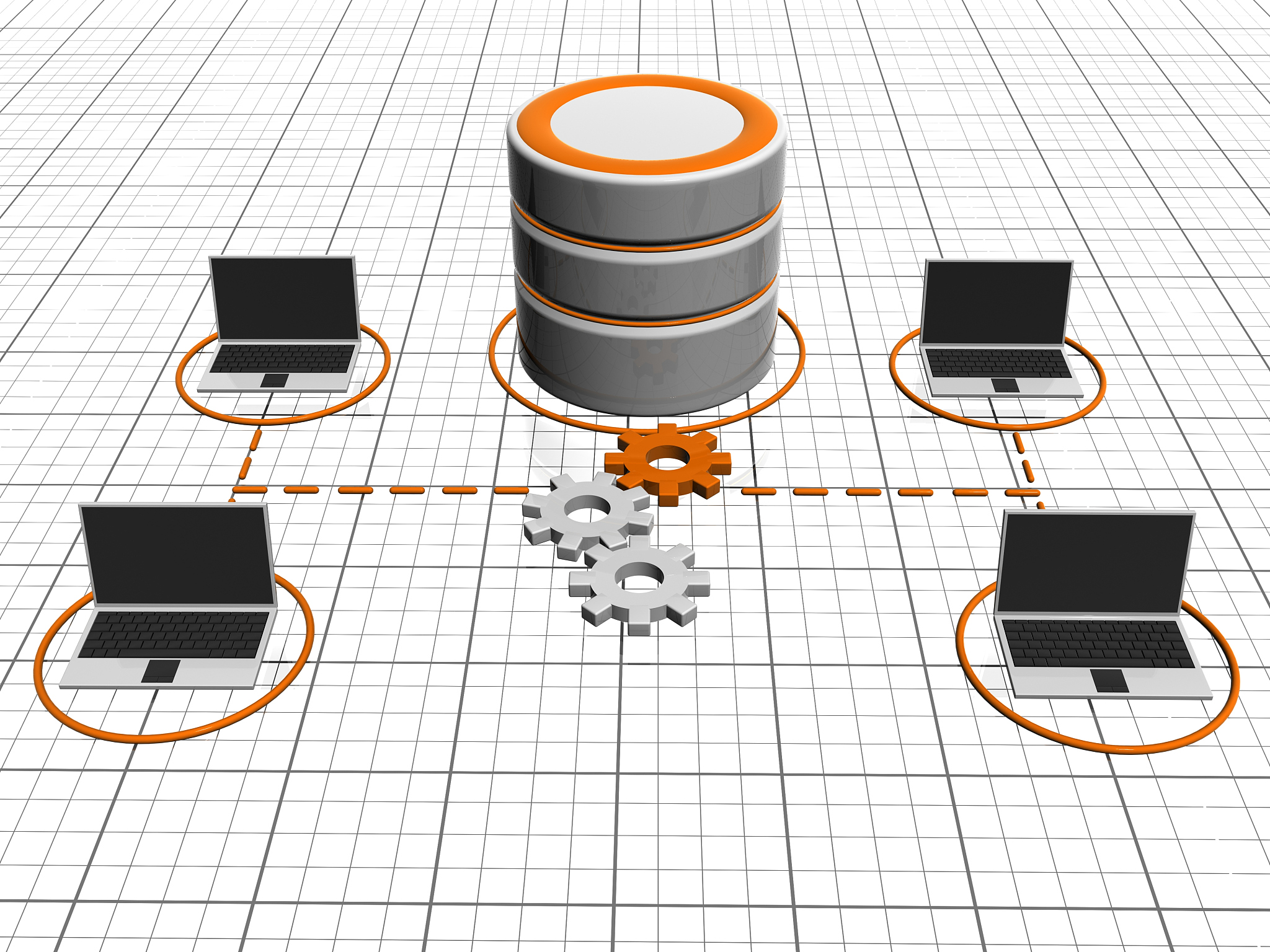 将提取出的信息存储在数据库中简介
