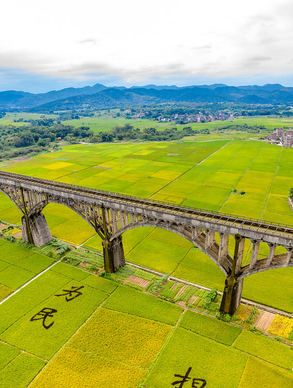 罗定媒体求助热线大全：政府、公安、交通等部门联系方式