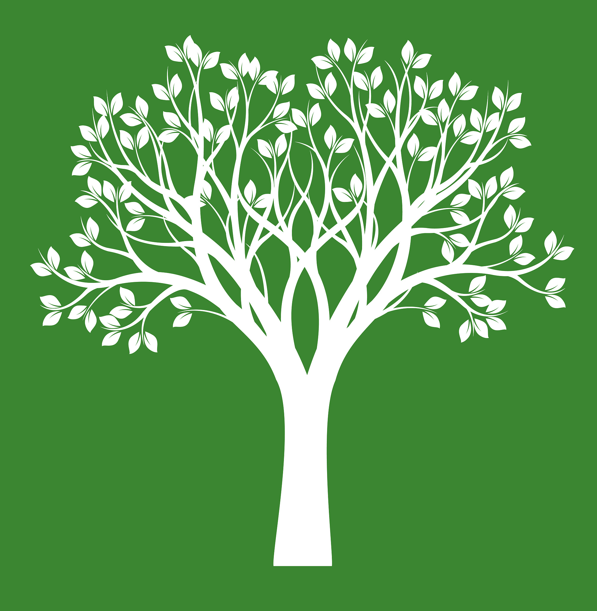 shape of tree with green leaves. vector outline illustration. pl